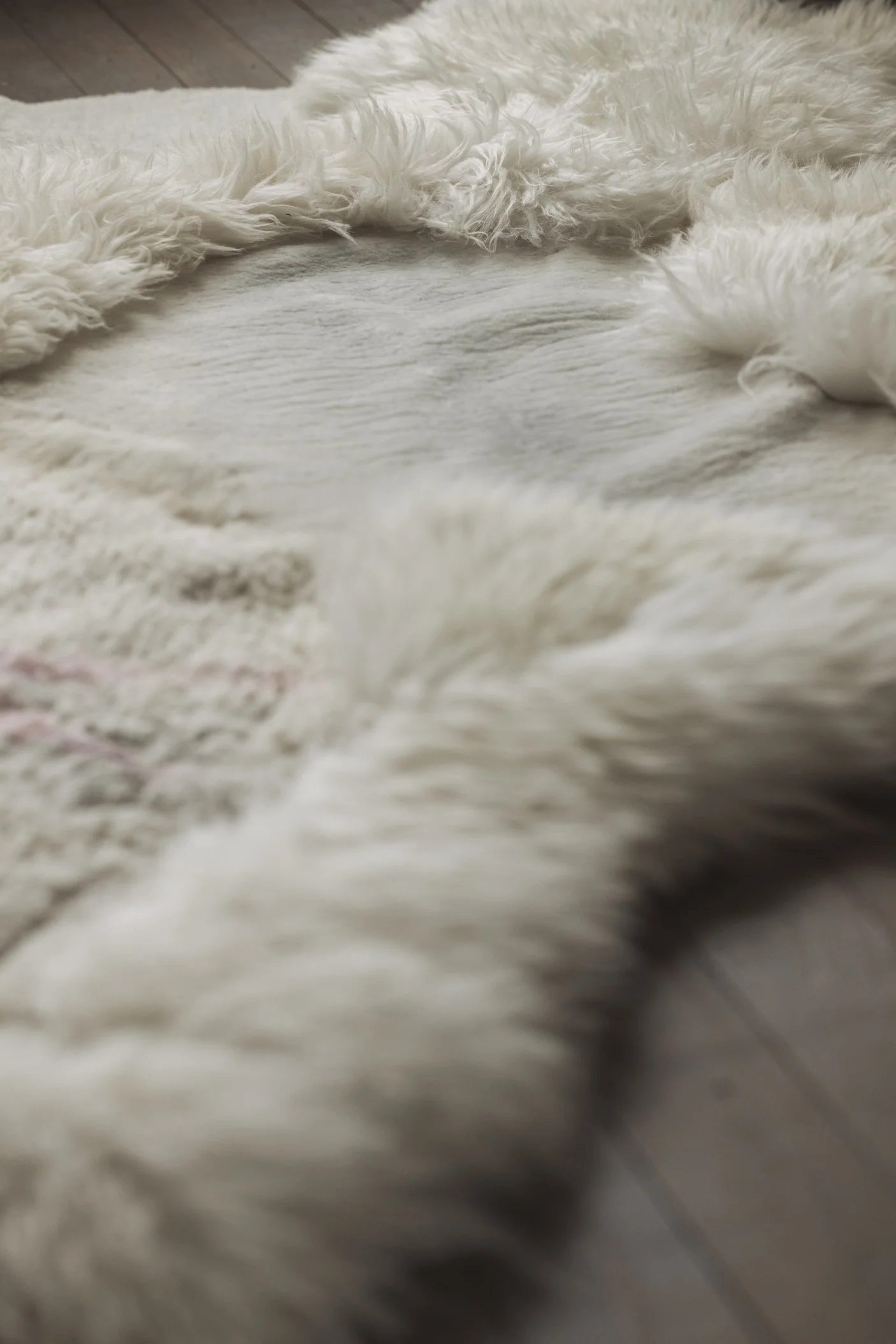 FÅR - Unique sheepskin rugs and objects. - PRADO