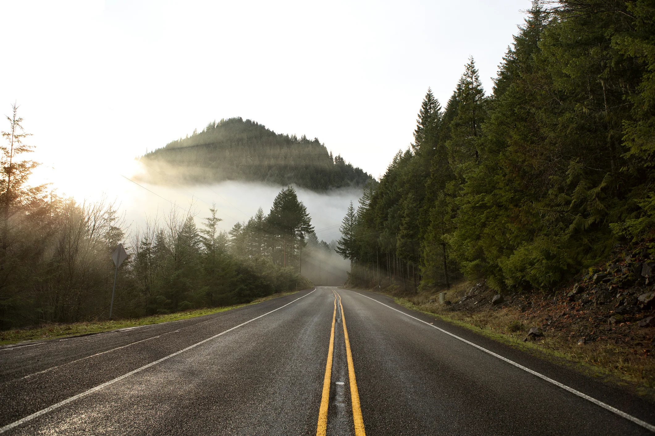 Photo by Cha_DZ/iStock / Getty Images