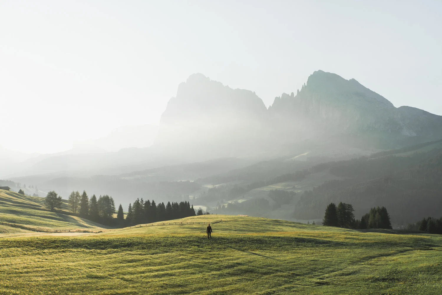 Alpe_DI_Siusi_GeoffPhotography.jpg