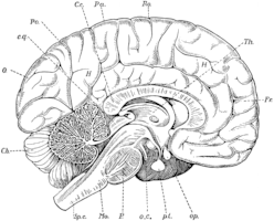 f50cdaae2e26959599ef879e734d8687.jpg