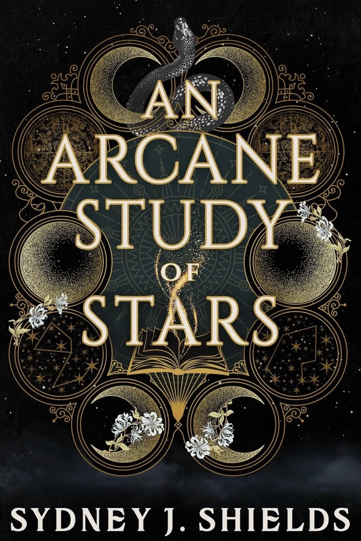 Arcane_Study.jpg