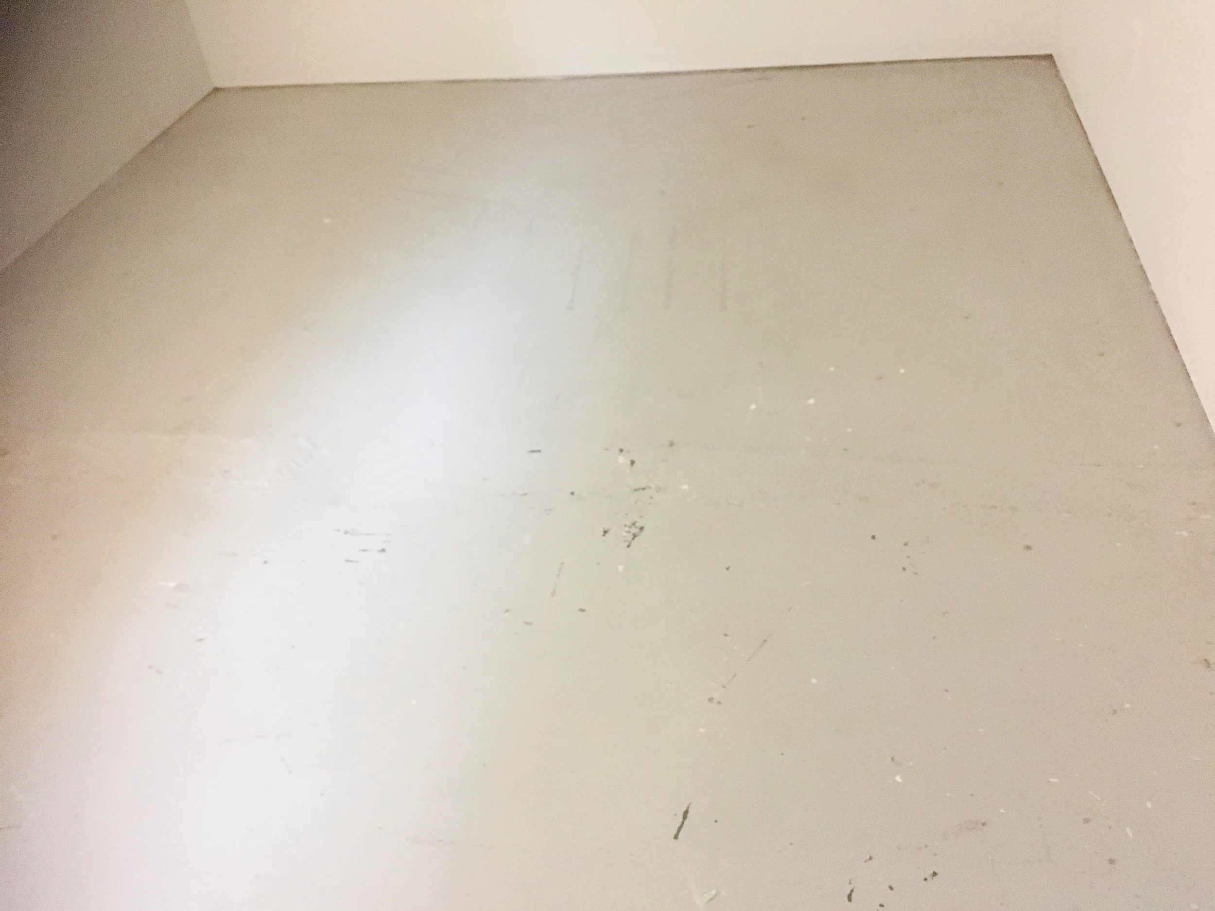 Painted Concrete Floor Brianna Deegan Designs