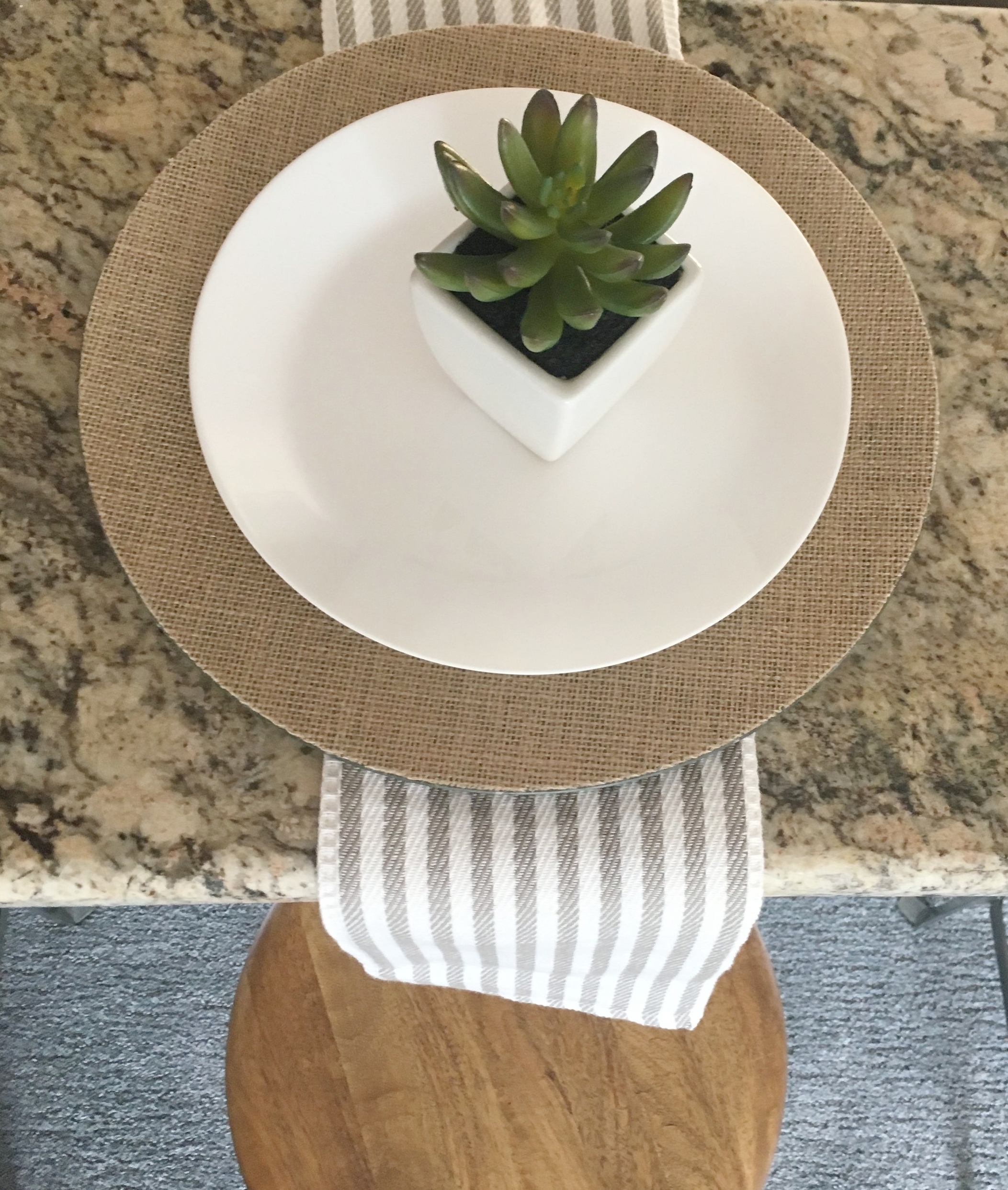 Plate Setting Succulent Staging.JPG