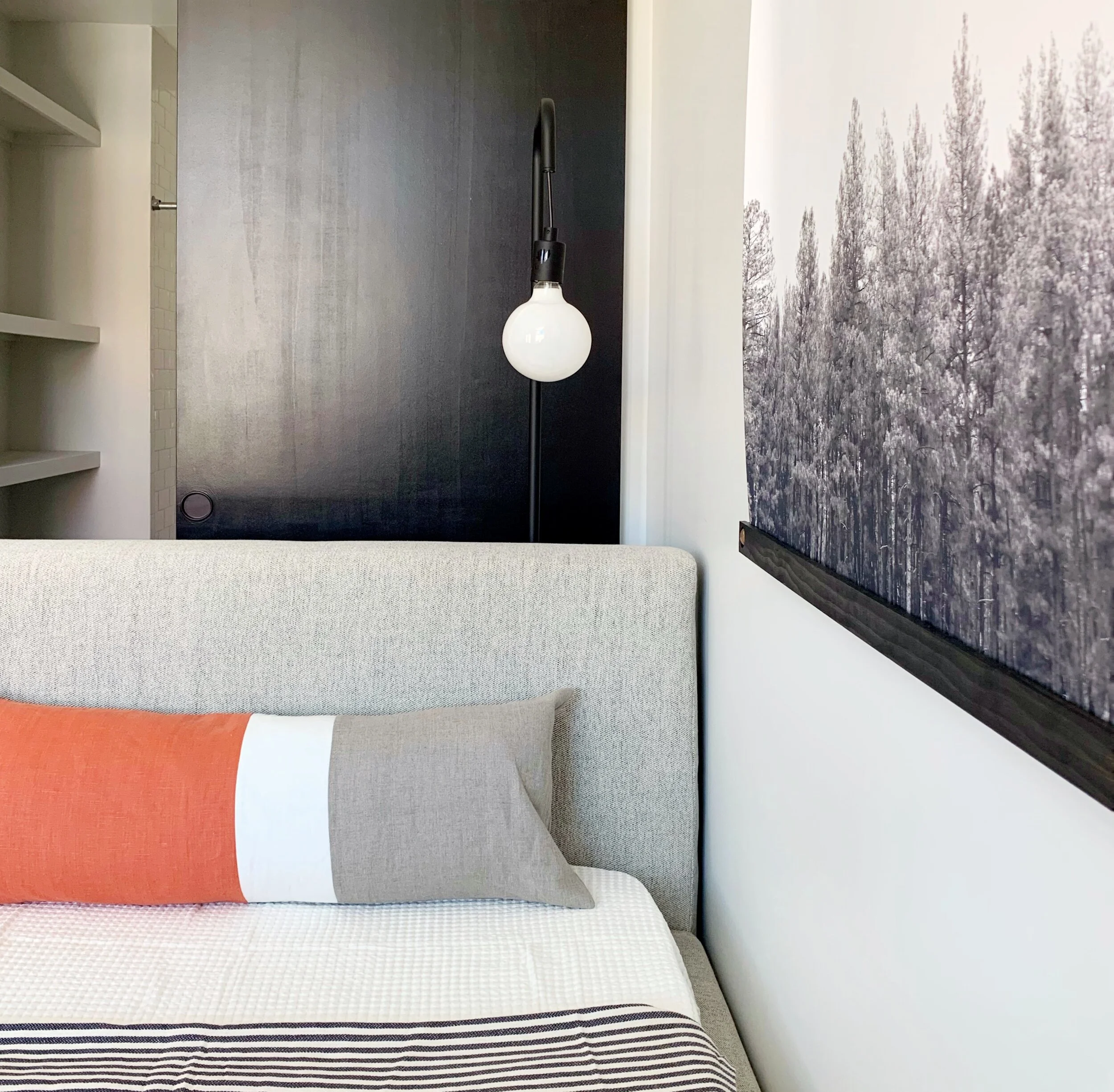 Micro Unit Art and Bed Detail.JPEG