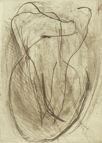 L of North etching plate size: 20 x 16 inches paper size: 30 x 20 inches $1100