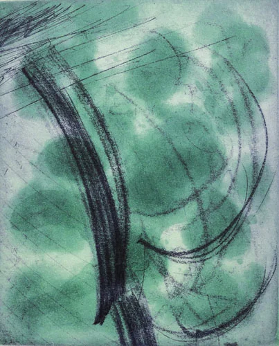 So Much Green, 2011 etching plate size: 10 x 8 inches paper: 19 x 14 inches $800