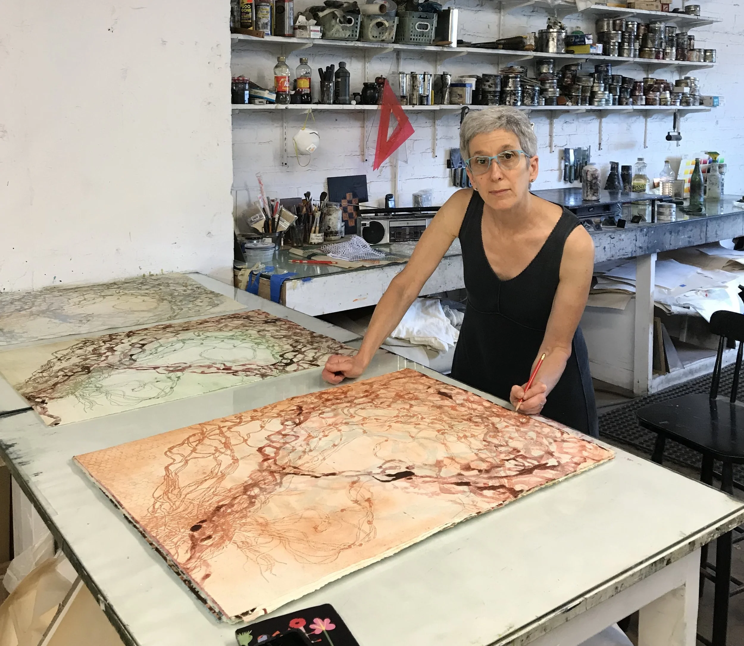 Nancy Cohen at VanDeb Editions, 2018.