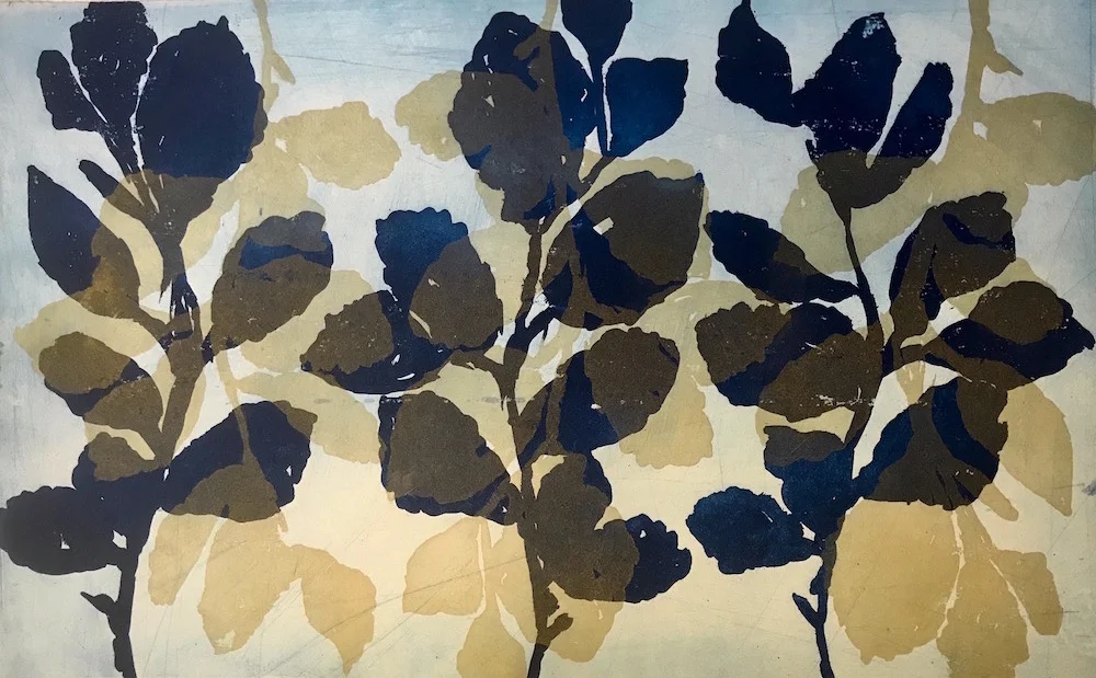 Wilder Witch Hazel #3 plate and paper: 14 x 22 inches $1500