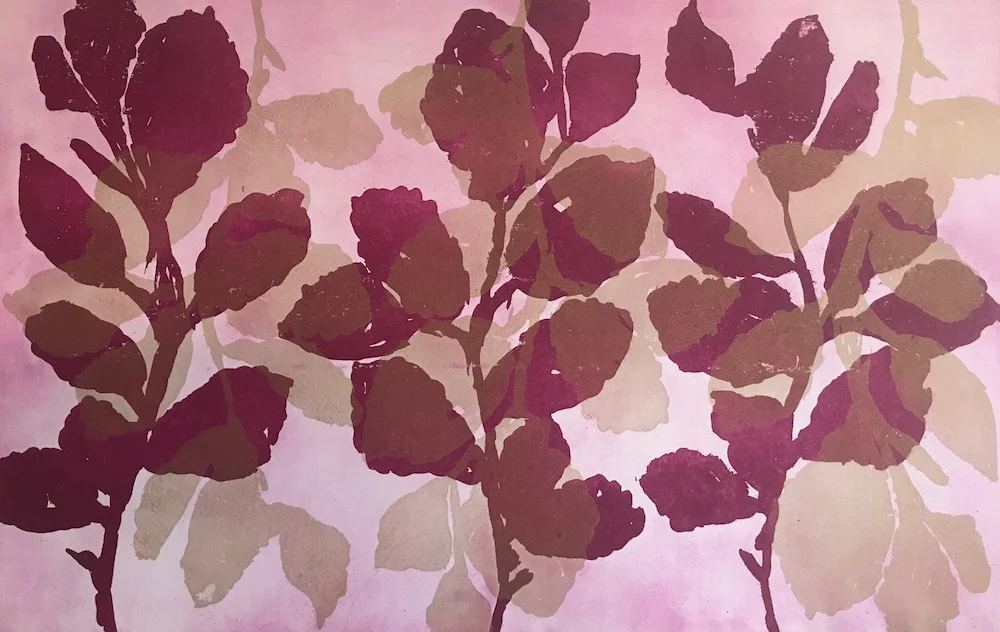 Wilder Witch Hazel #10 plate and paper: 14 x 22 inches $1500