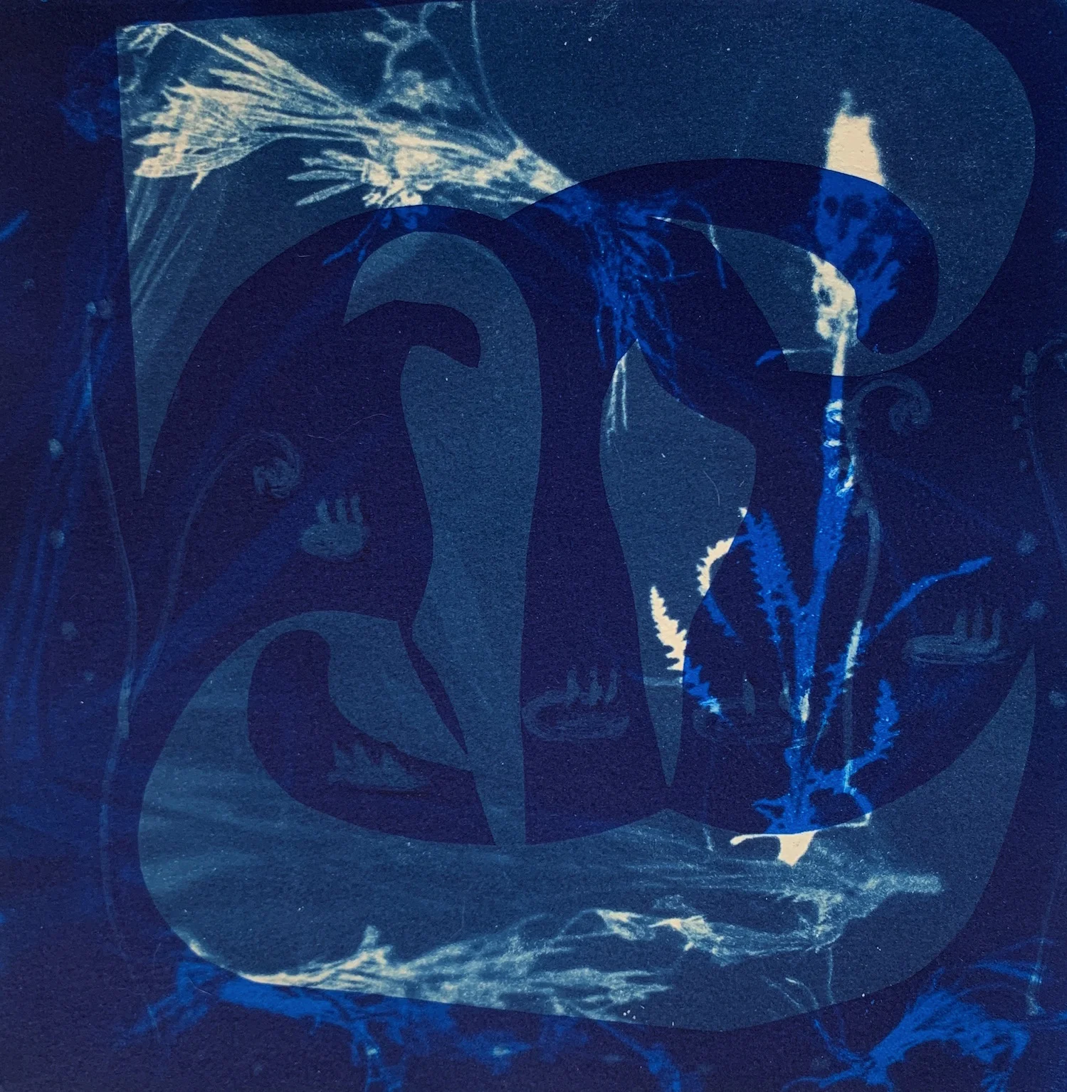   Heirs to the Sea #13   Monoprint  Plate and Print size 10 x 10”  $800   Inquire   