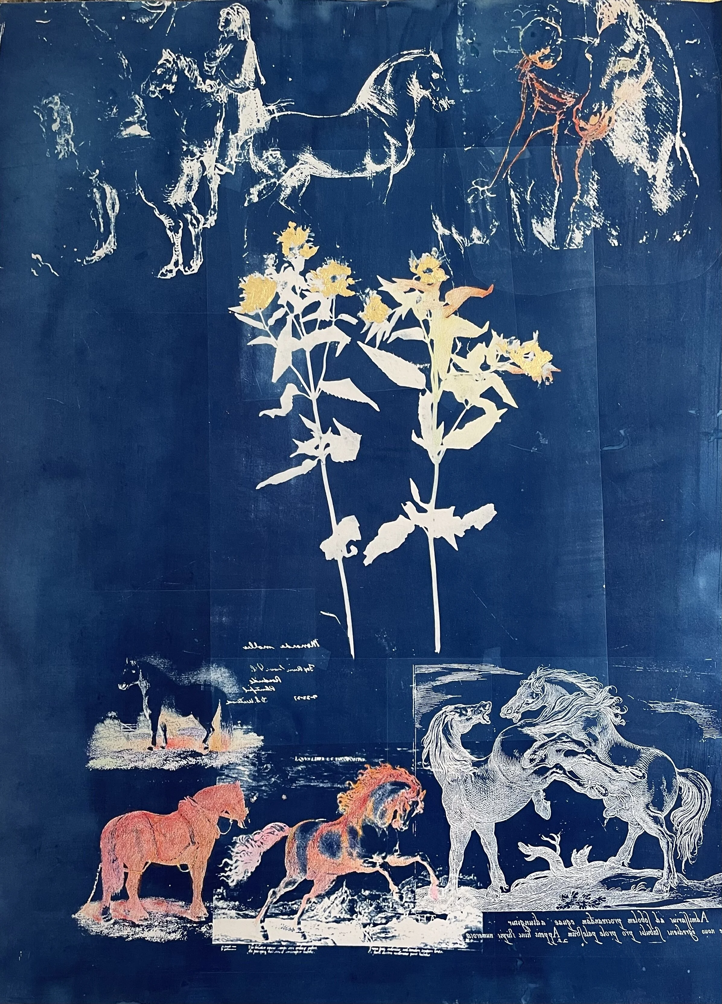  Heirs to the Sea 24. Monoprint. 30 x 22”. $2000    Inquire   