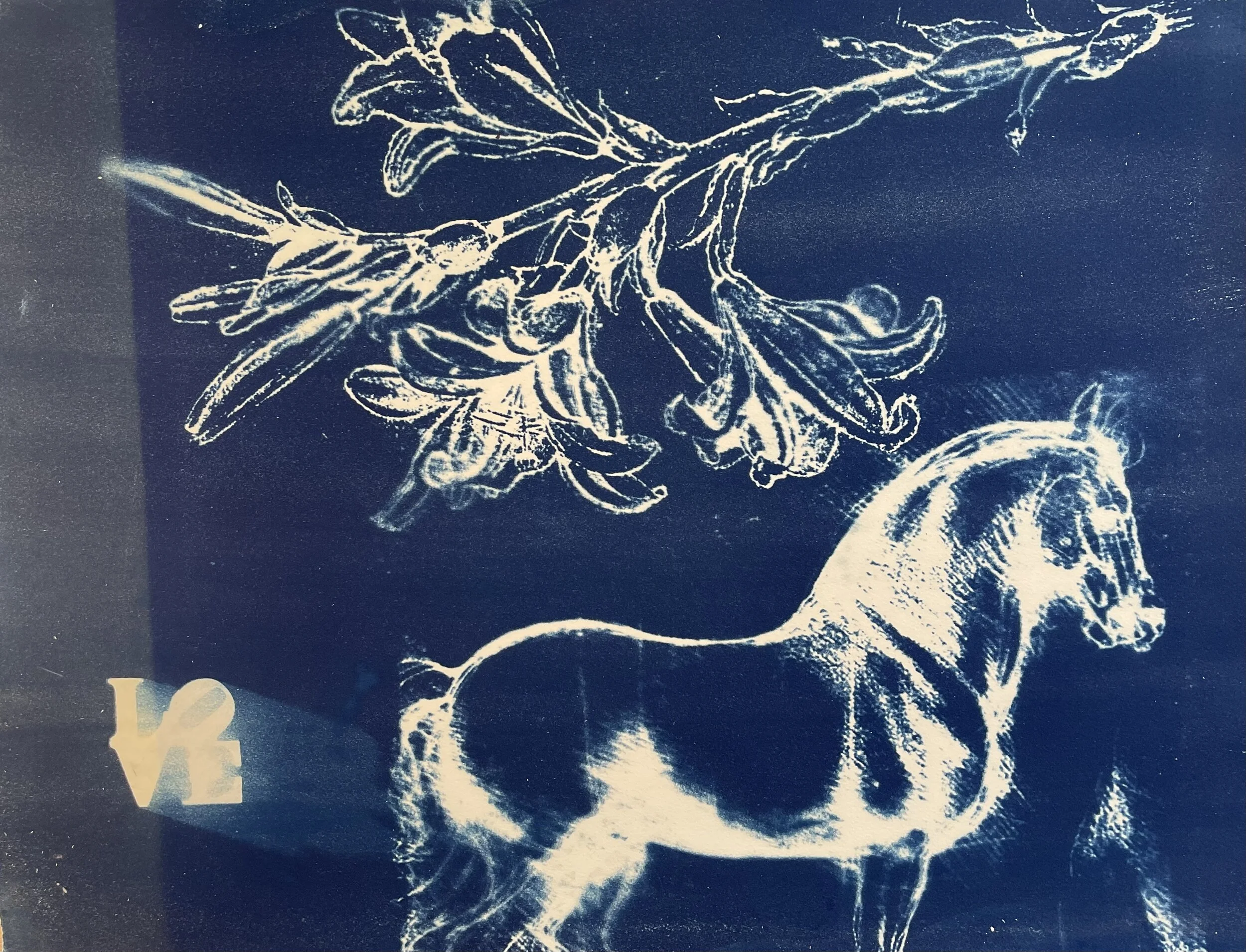  Heirs to the Sea 23. Monoprint./ 22 x 30”. $2000   Inquire   