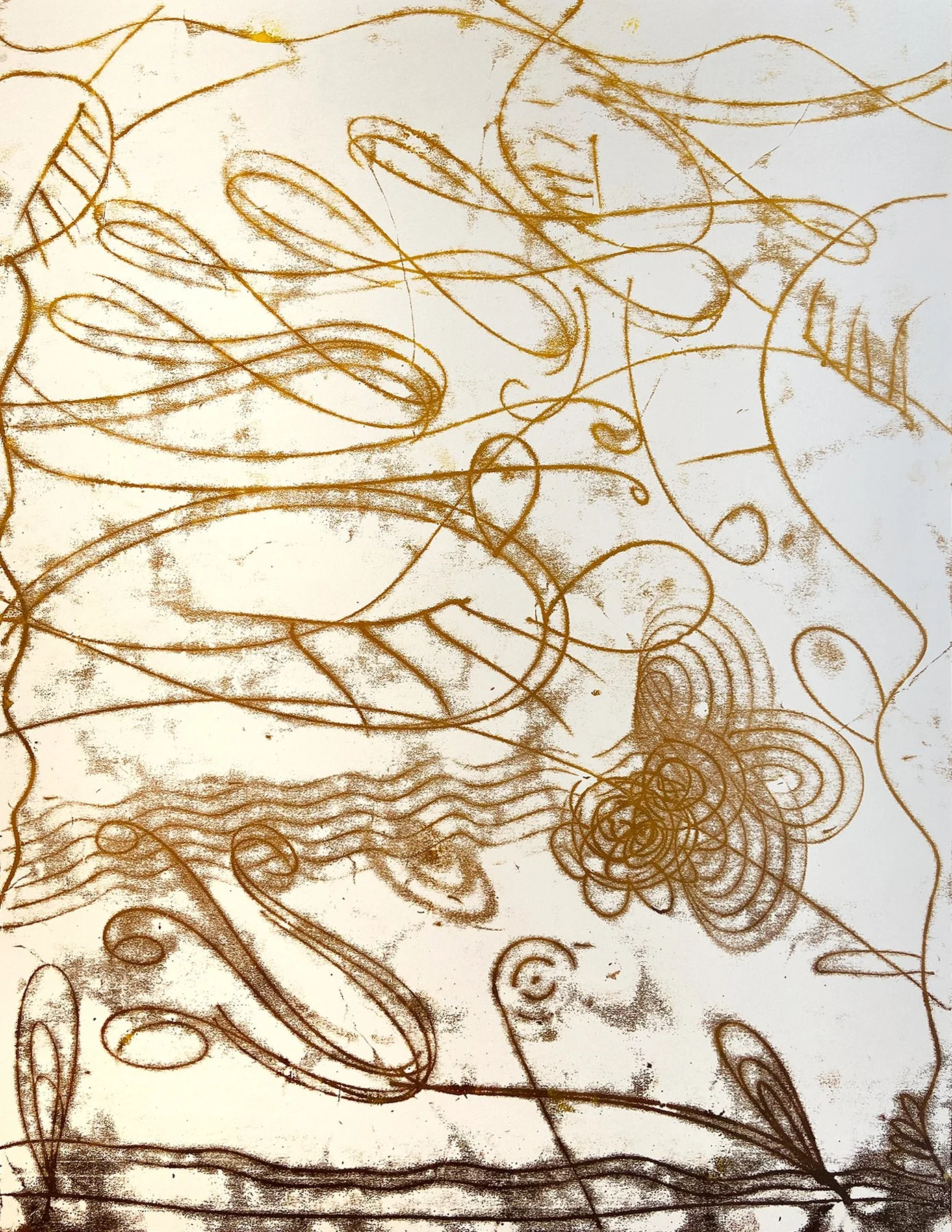  Wine Yellow #1. Trace monoprint on acid free paper. 20 × 26”. $1800 