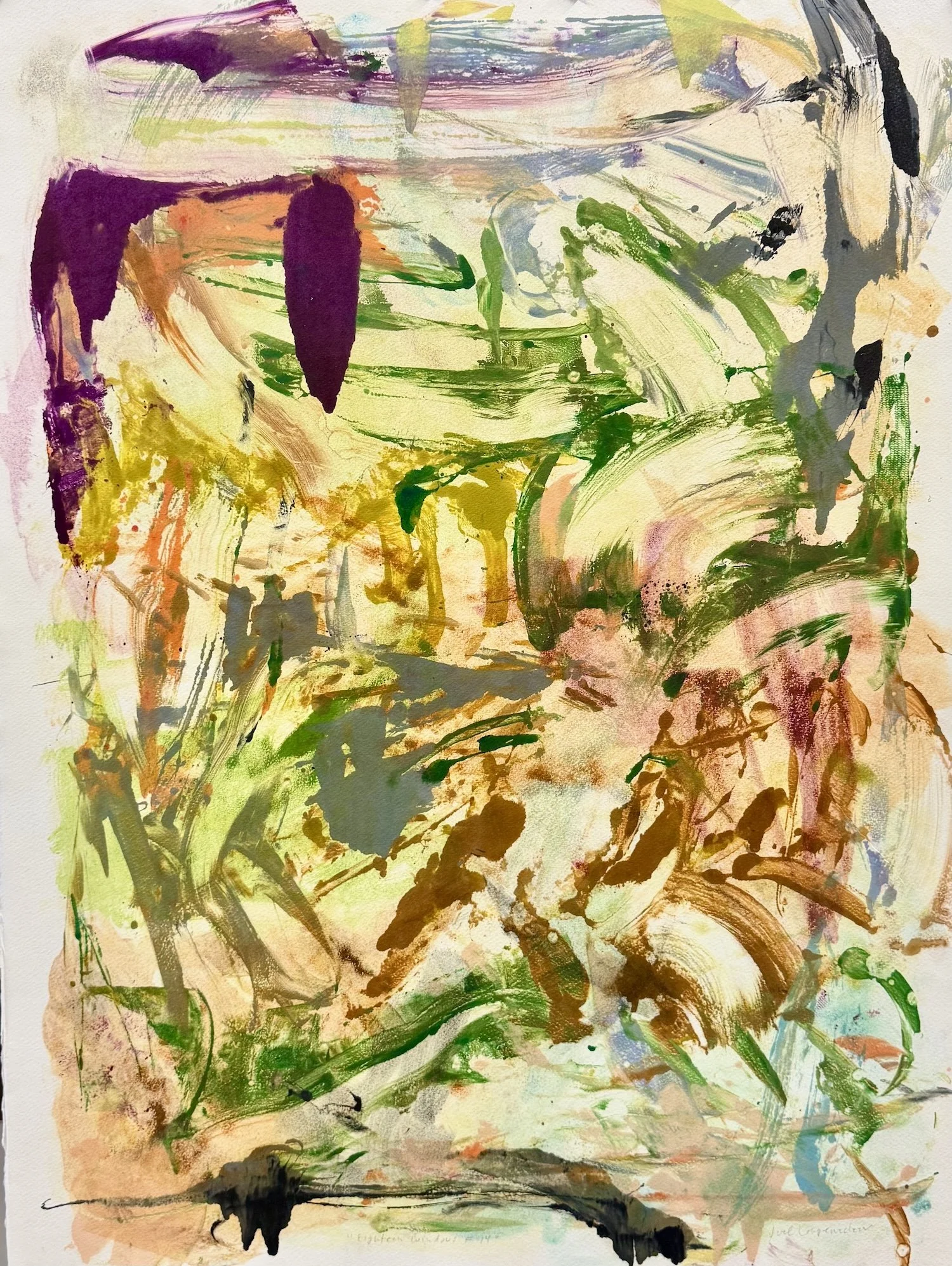  18 Windows #18. Monoprint. 30 × 22”. $1800 