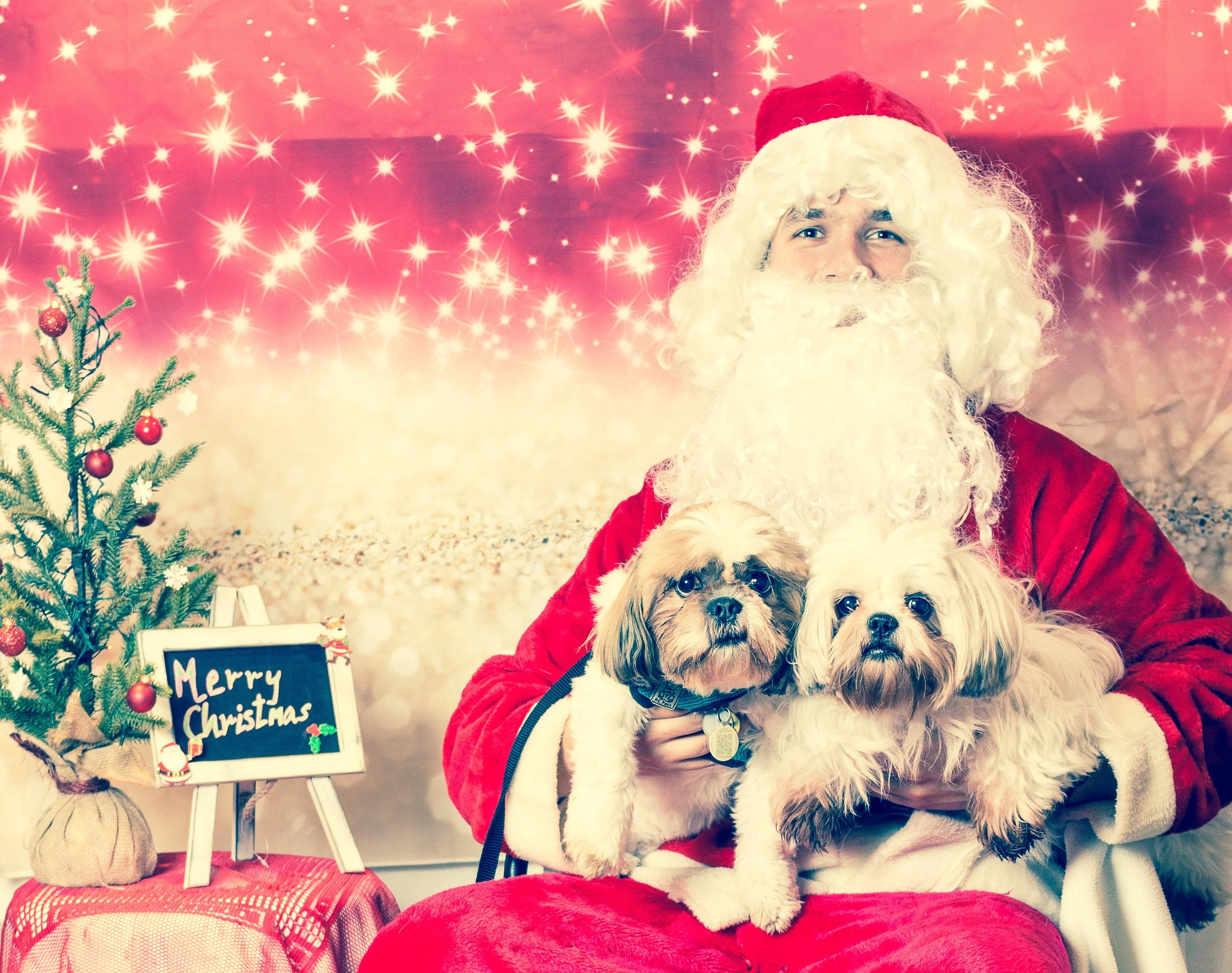 Laurel- Williams Cammock