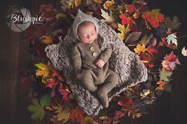 Fall wonderland 🍁
Knit romper by @baby_love_uk 
Knits hat, blanket and bear by the one and only @k2cblooms 👌🏻 #blushpic #familyphotography #portraitphotographer #childrenphotography #mtlphotographer #montreal #fineartphotography #fineart #newbornp