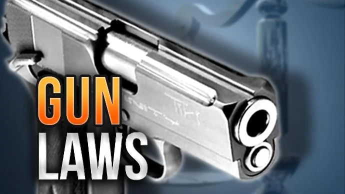 gun+laws+mgn.jpg