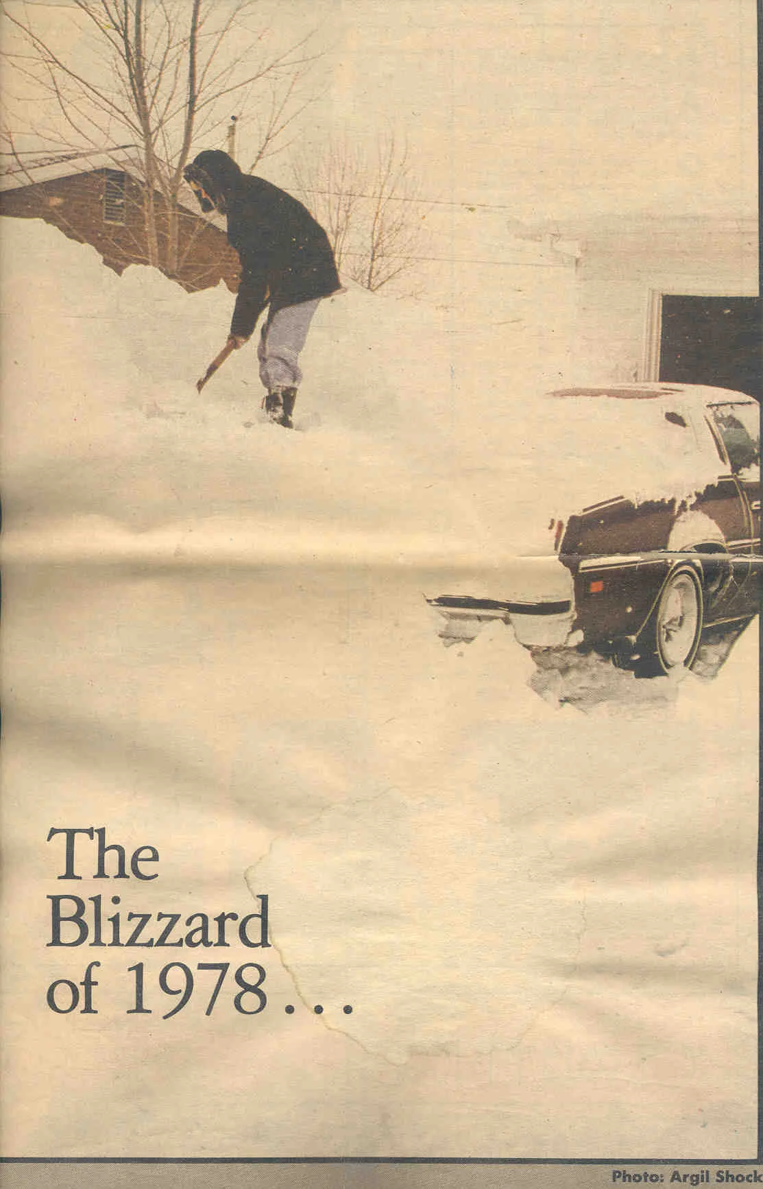 blizzard1.jpg