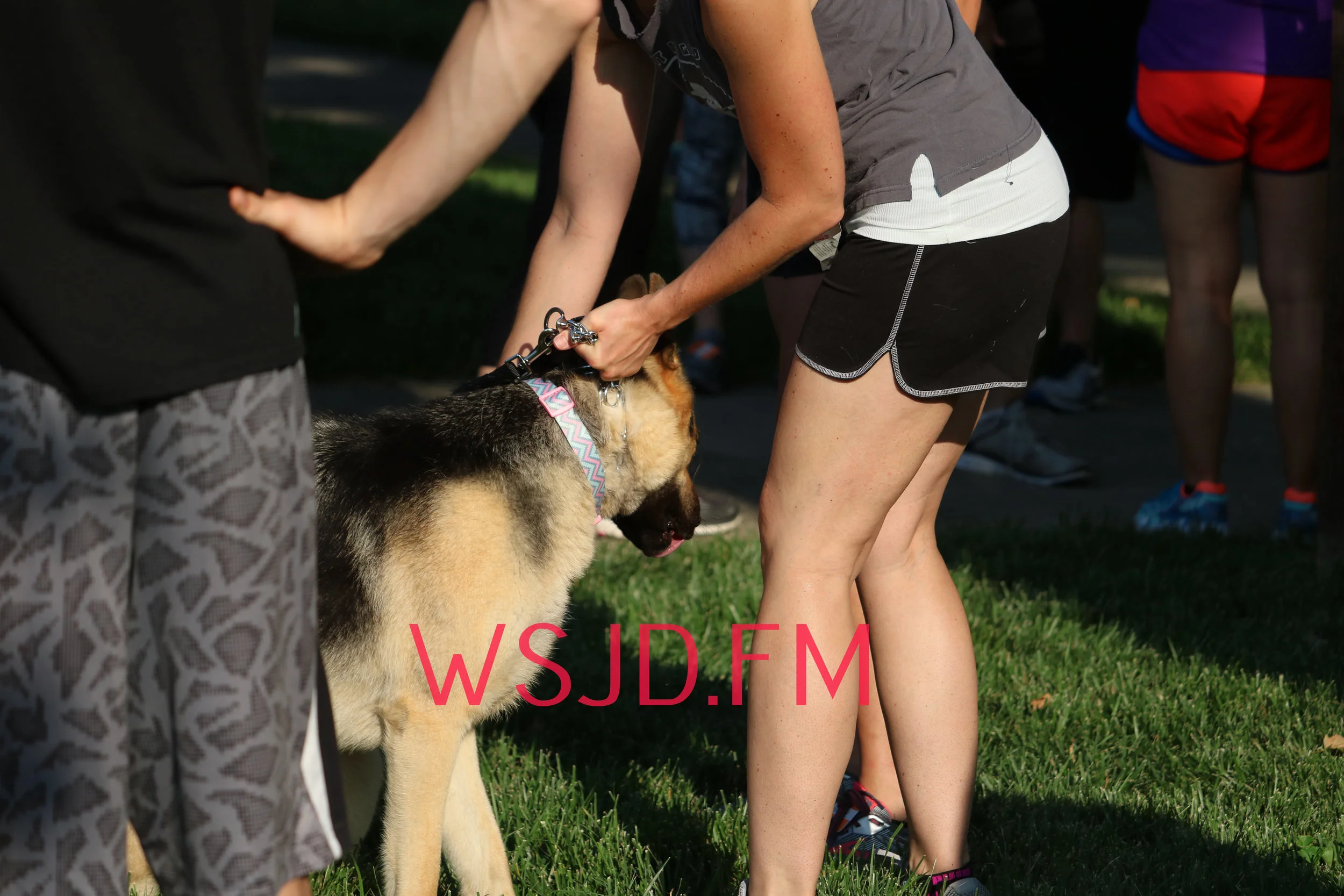 IMG_5083.JPG