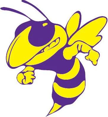 Yellow Jacket.jpg