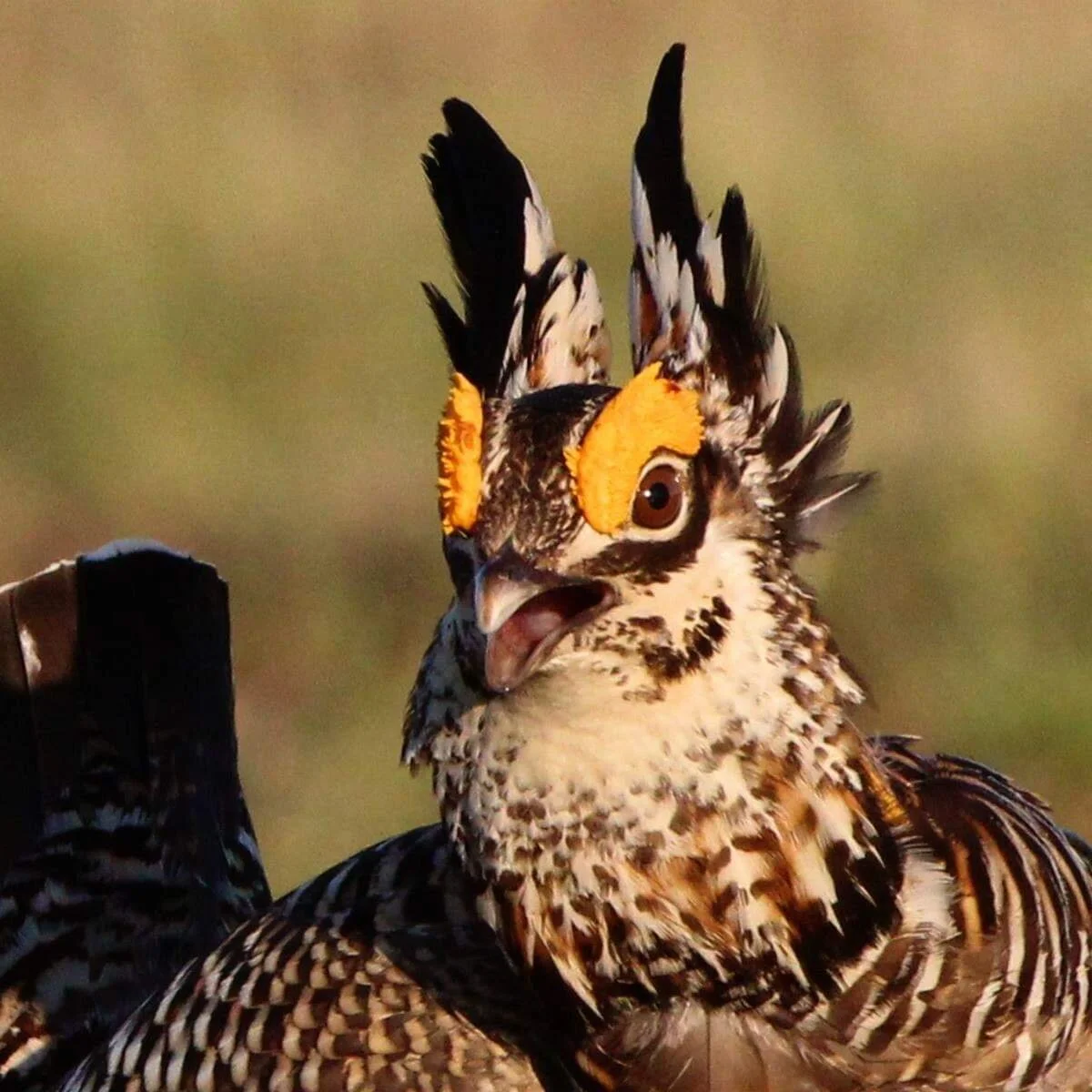 Photograph by Bob Shelby