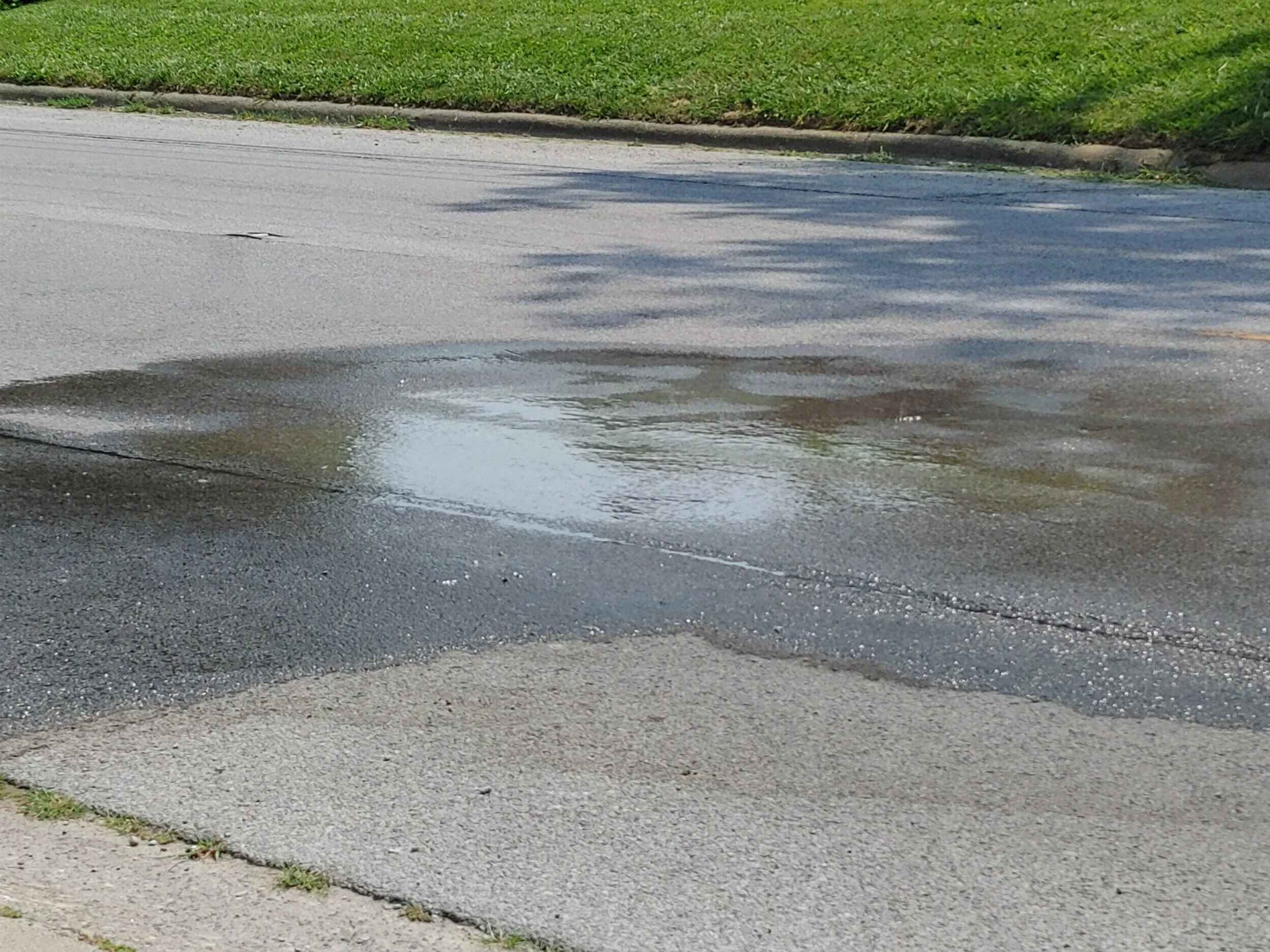 Bethards Obit Pic.jpg