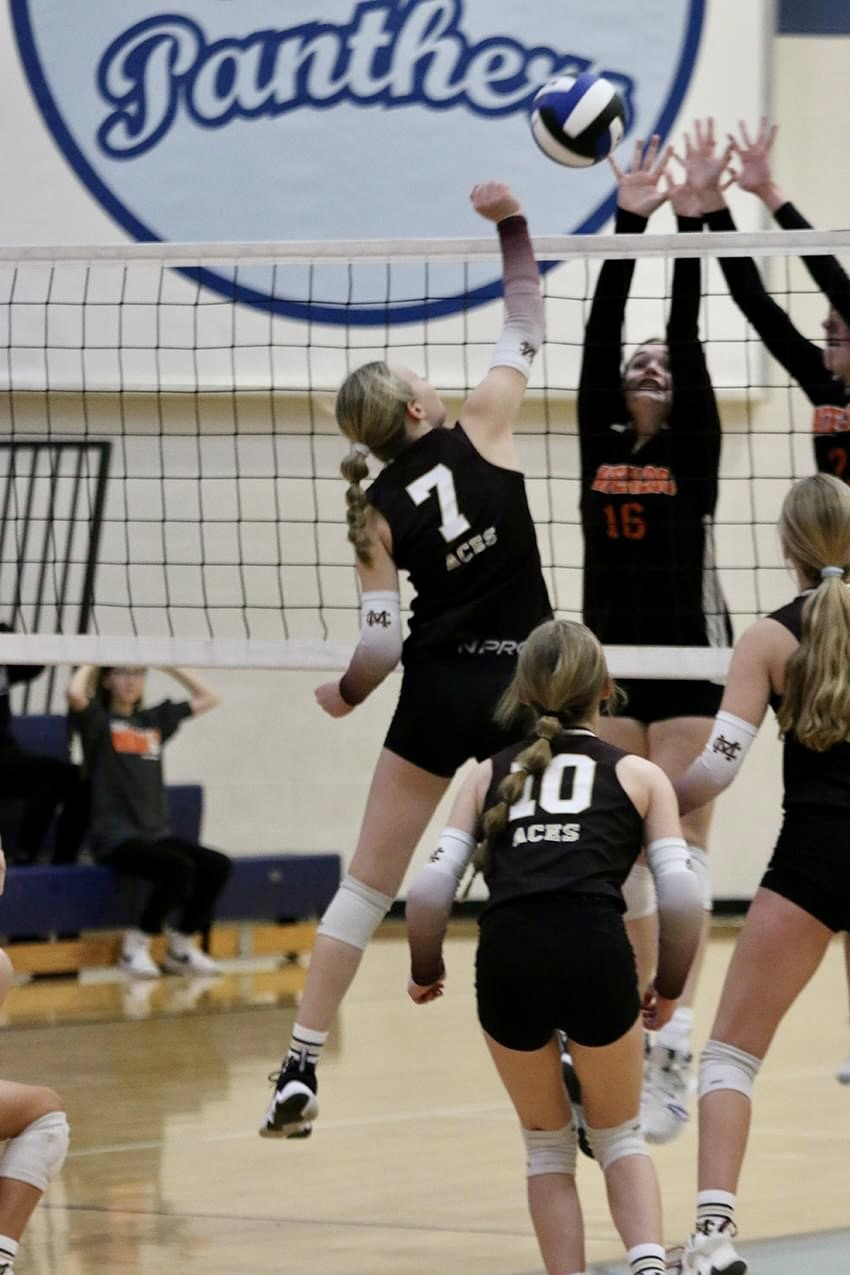 Jr. Lady Aces Fall To Eventual State Champions At Class L Finals