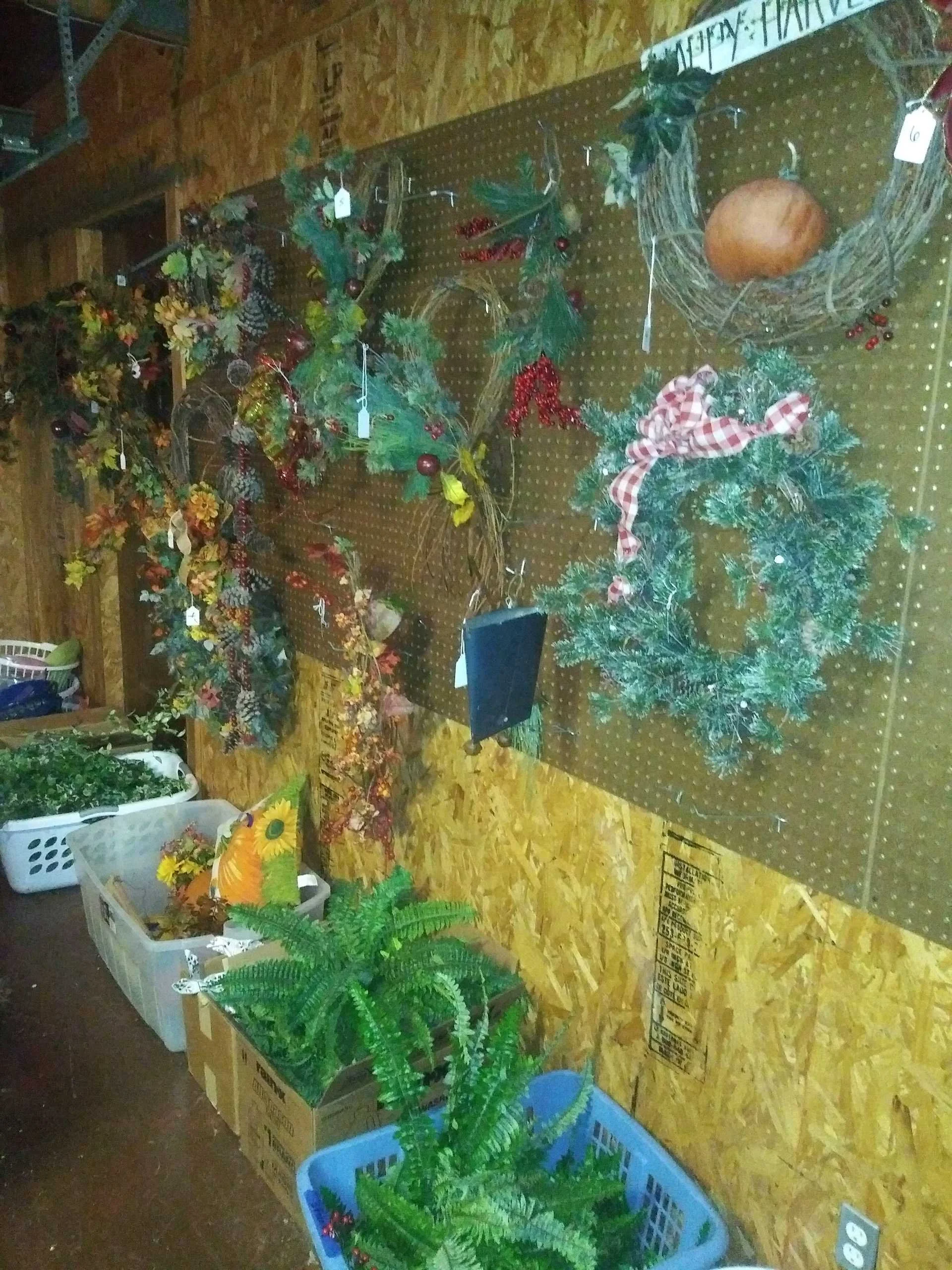 20231113_174826.jpg