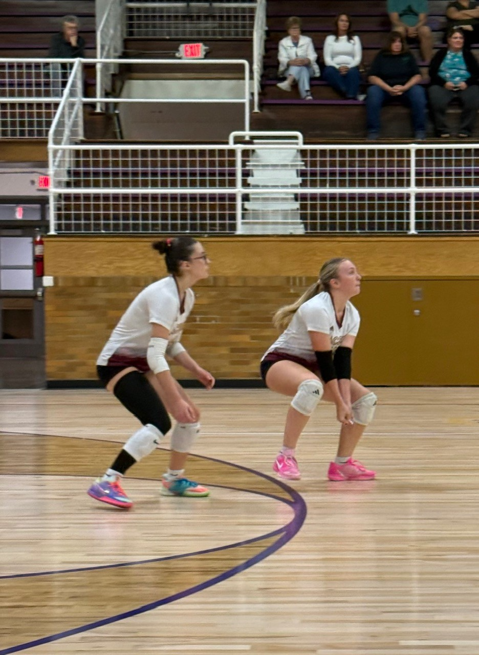 download (6).png