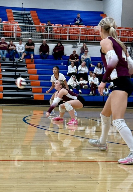 download (10).png