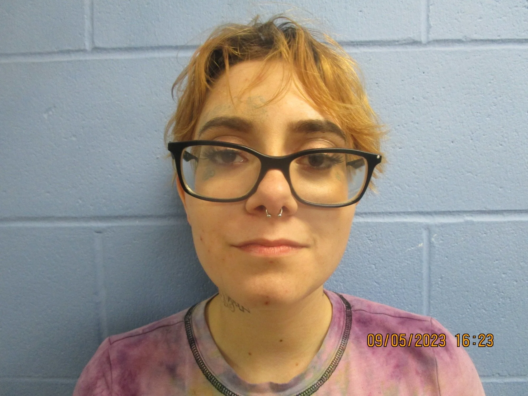 Mugshot Zone Champaign Il - z0fcp15