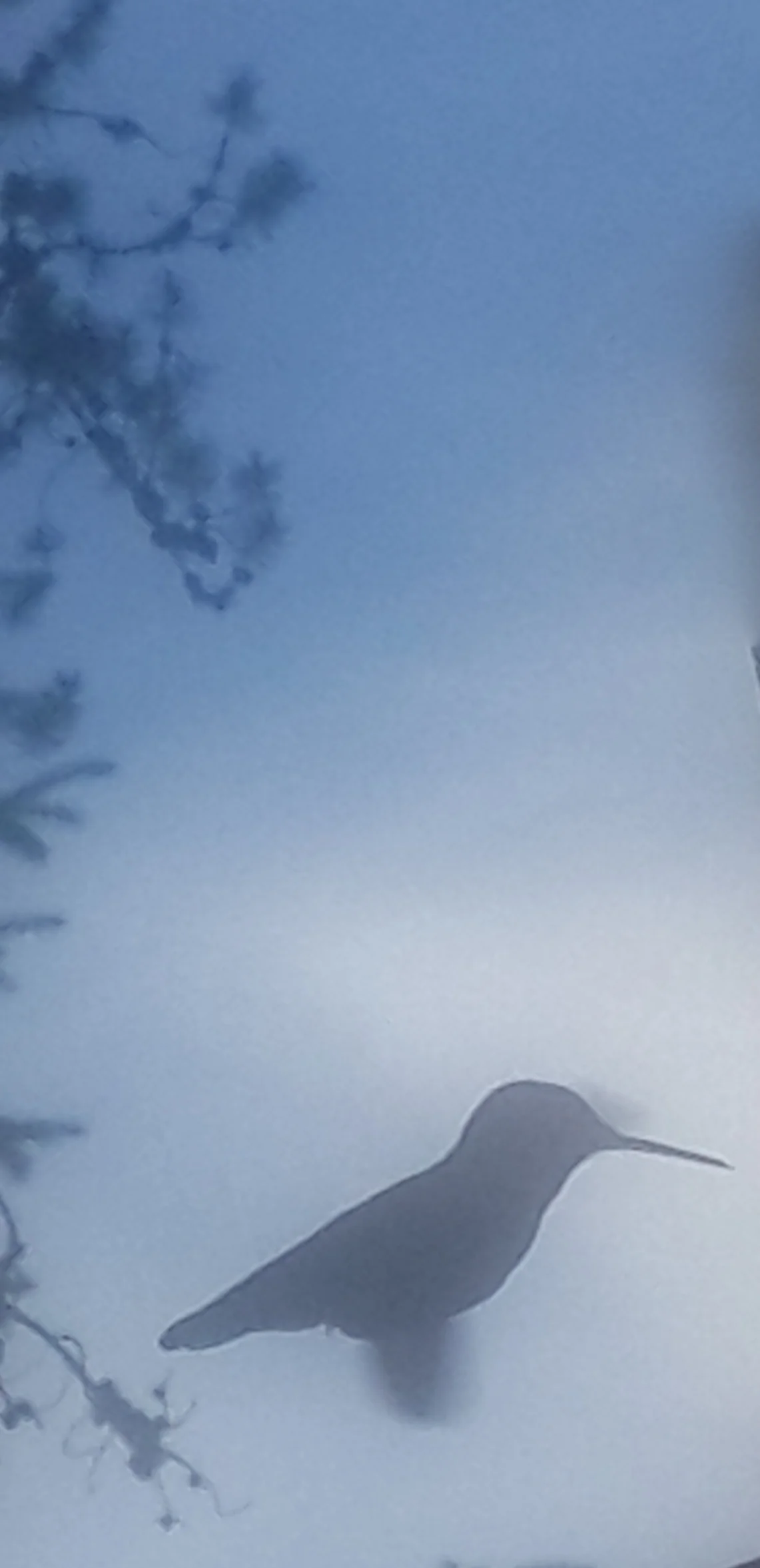 20160612_192457.jpg