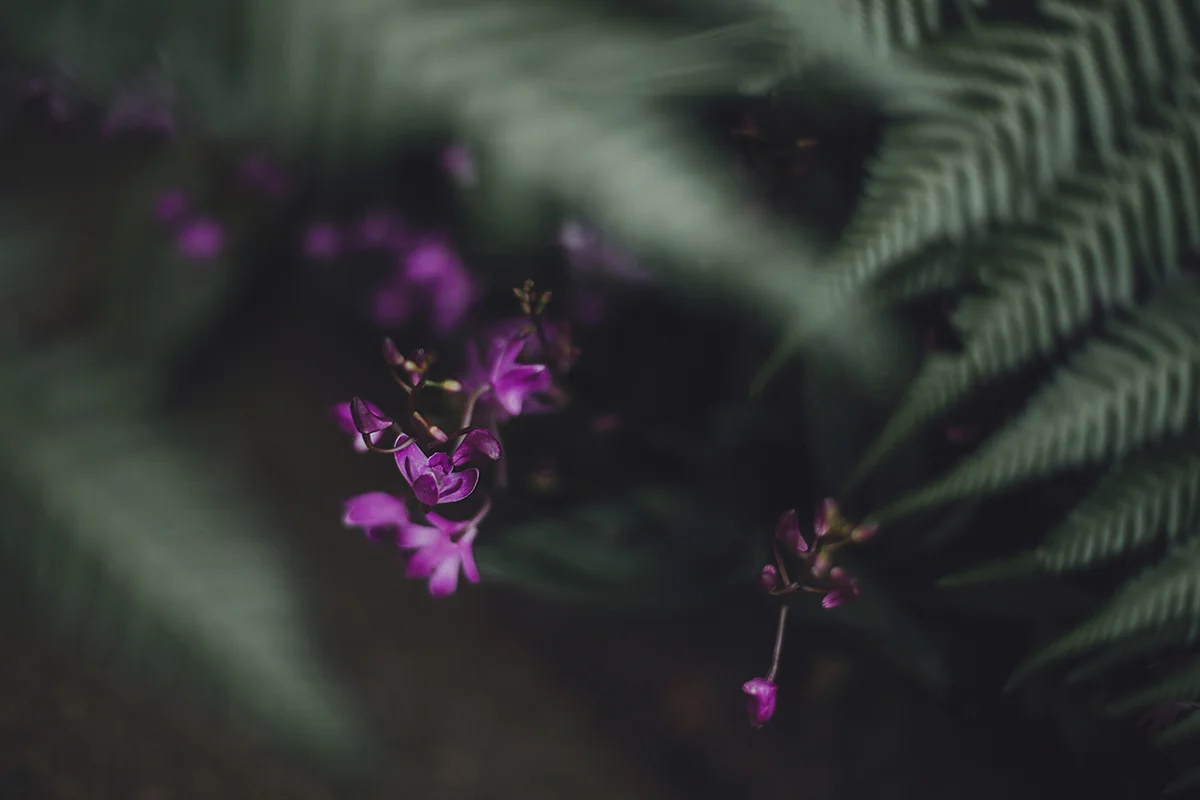 Tiny Stories