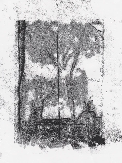 copy_cat_scans_8.jpg
