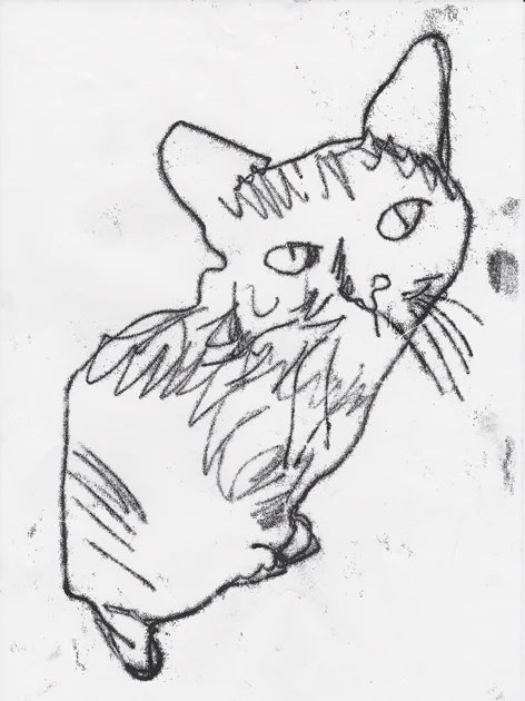 copy_cat_scans_10.jpg