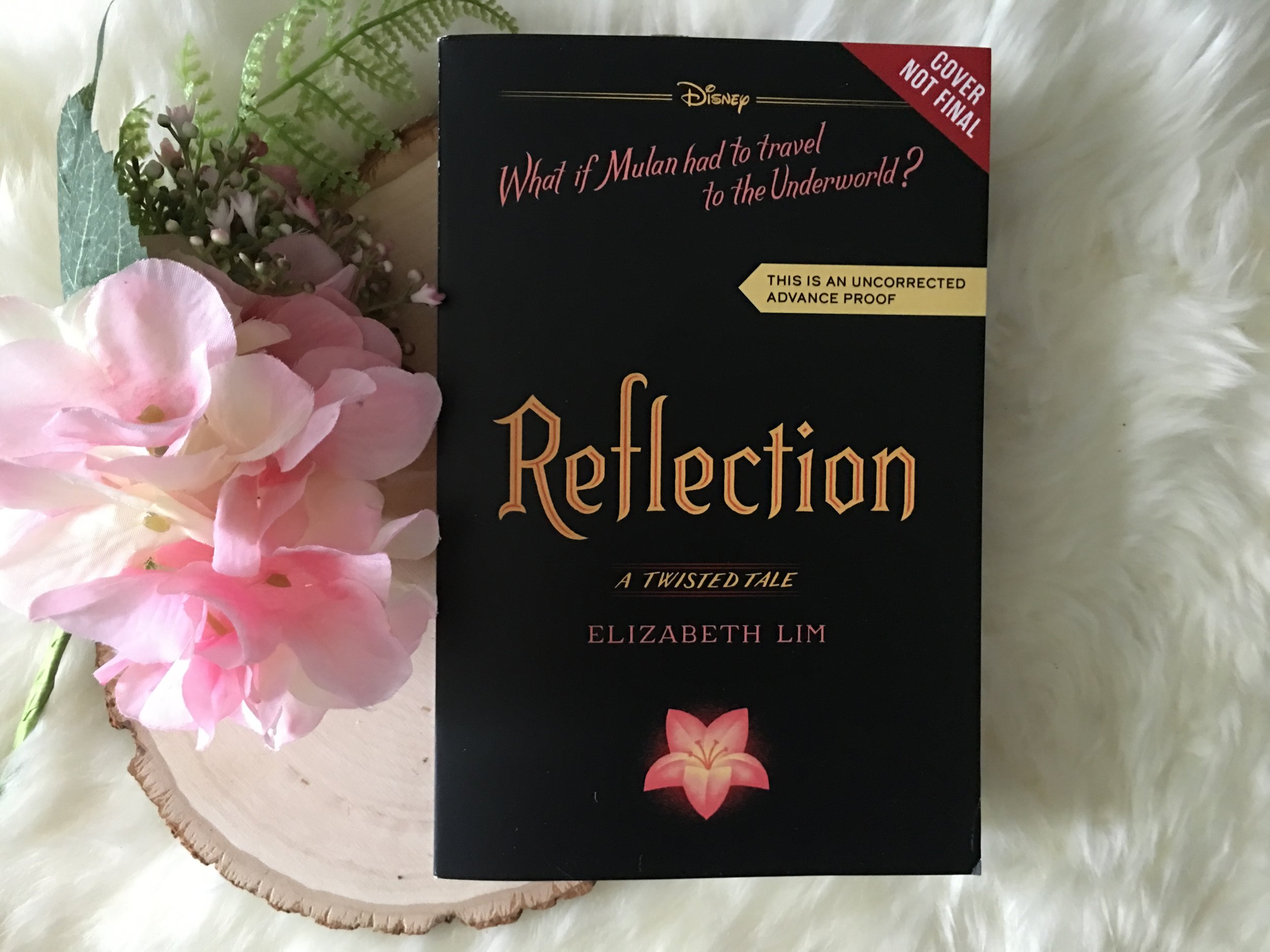 Reflection Review Bette S Pages