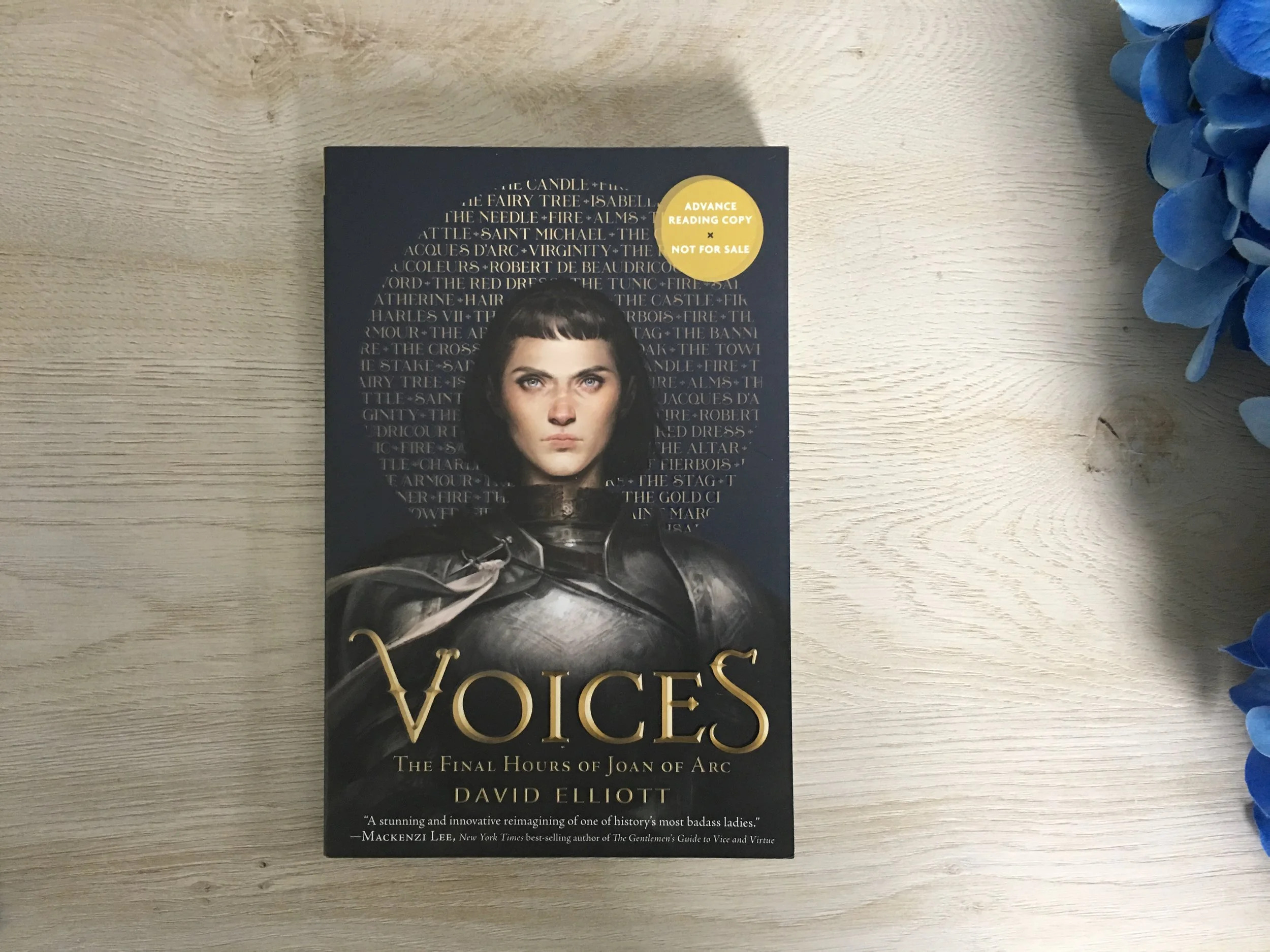 Voices: The Final Hours of Joan of Arc: Review