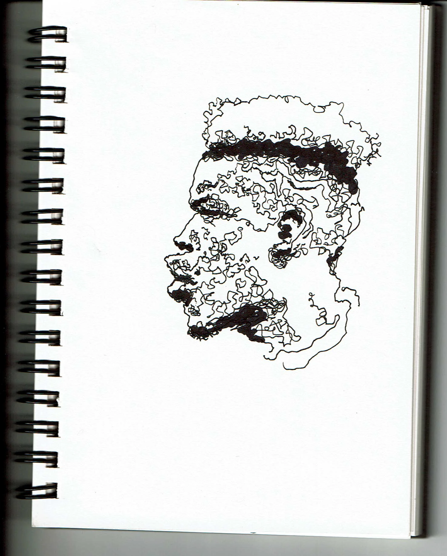 pogba profile.jpg