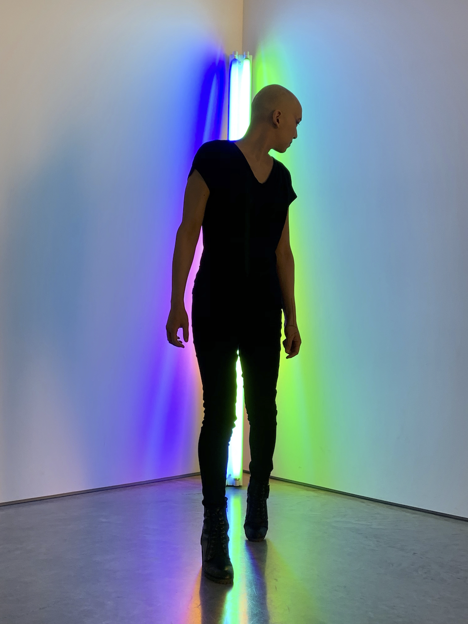 Enlight20 (1).png