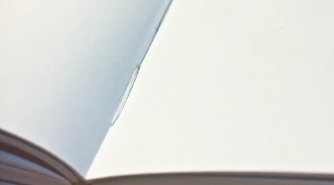Smyth-sewn binding, 100lb text-weight paper, textured endsheets