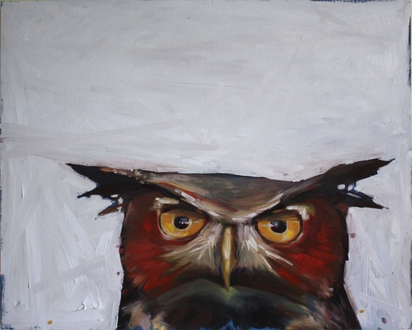 Grumpy Owl