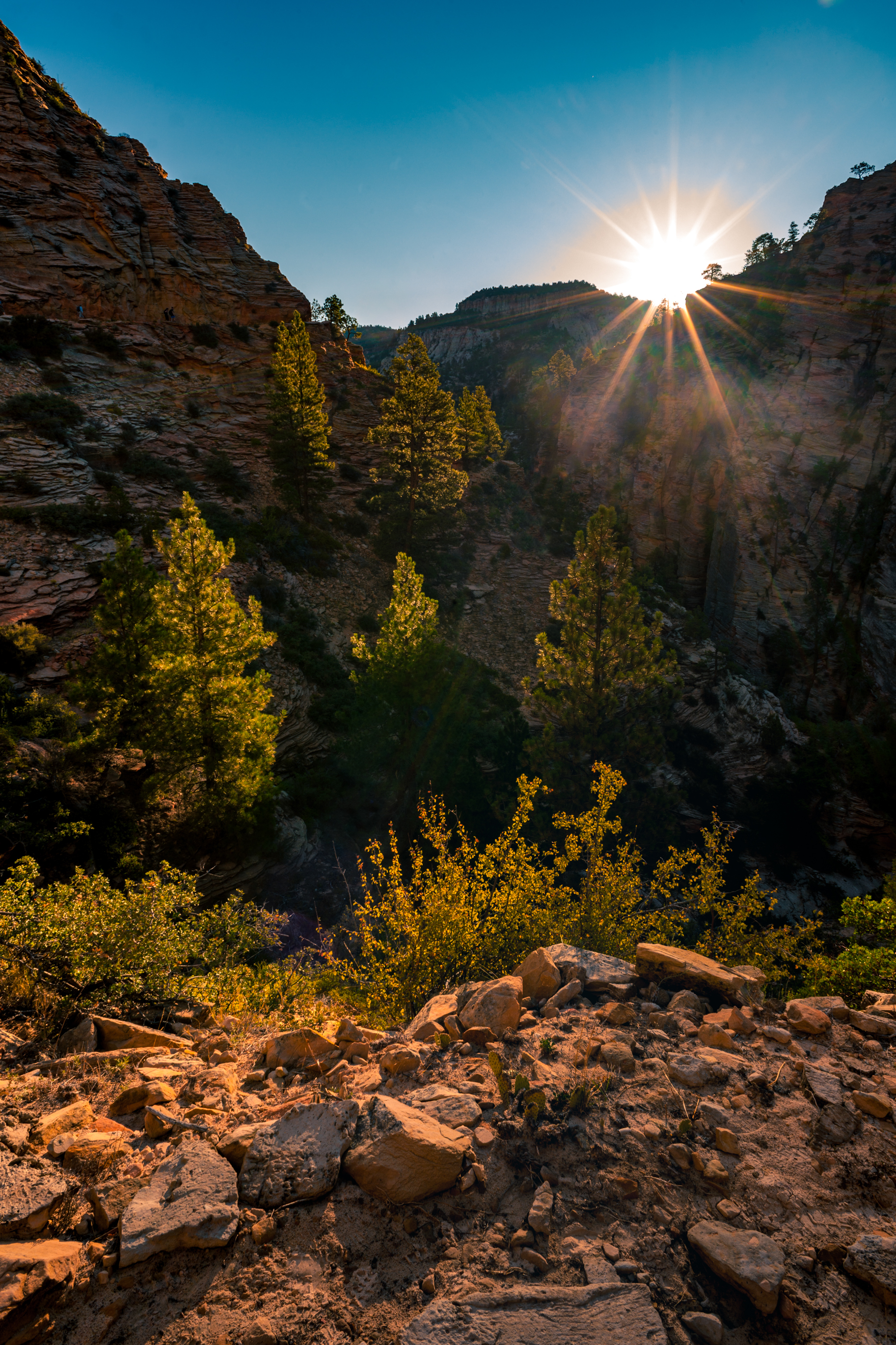 Sunrise at Observation point trail