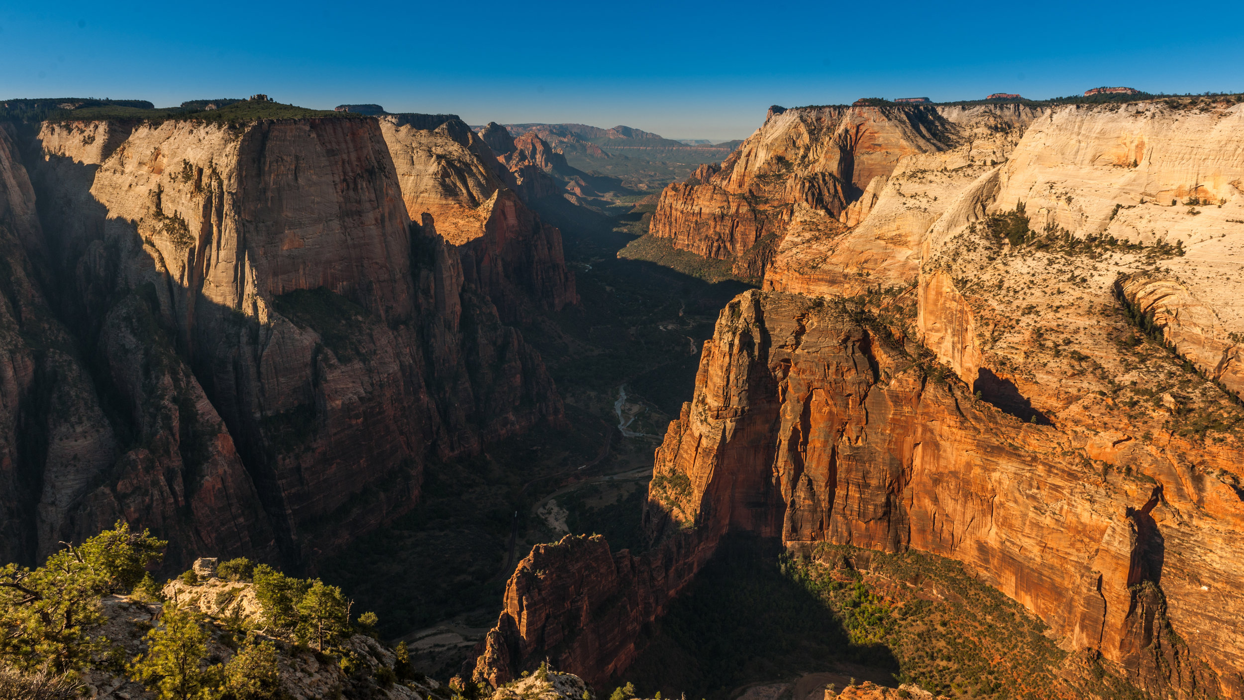 Observation point, Zion National Park