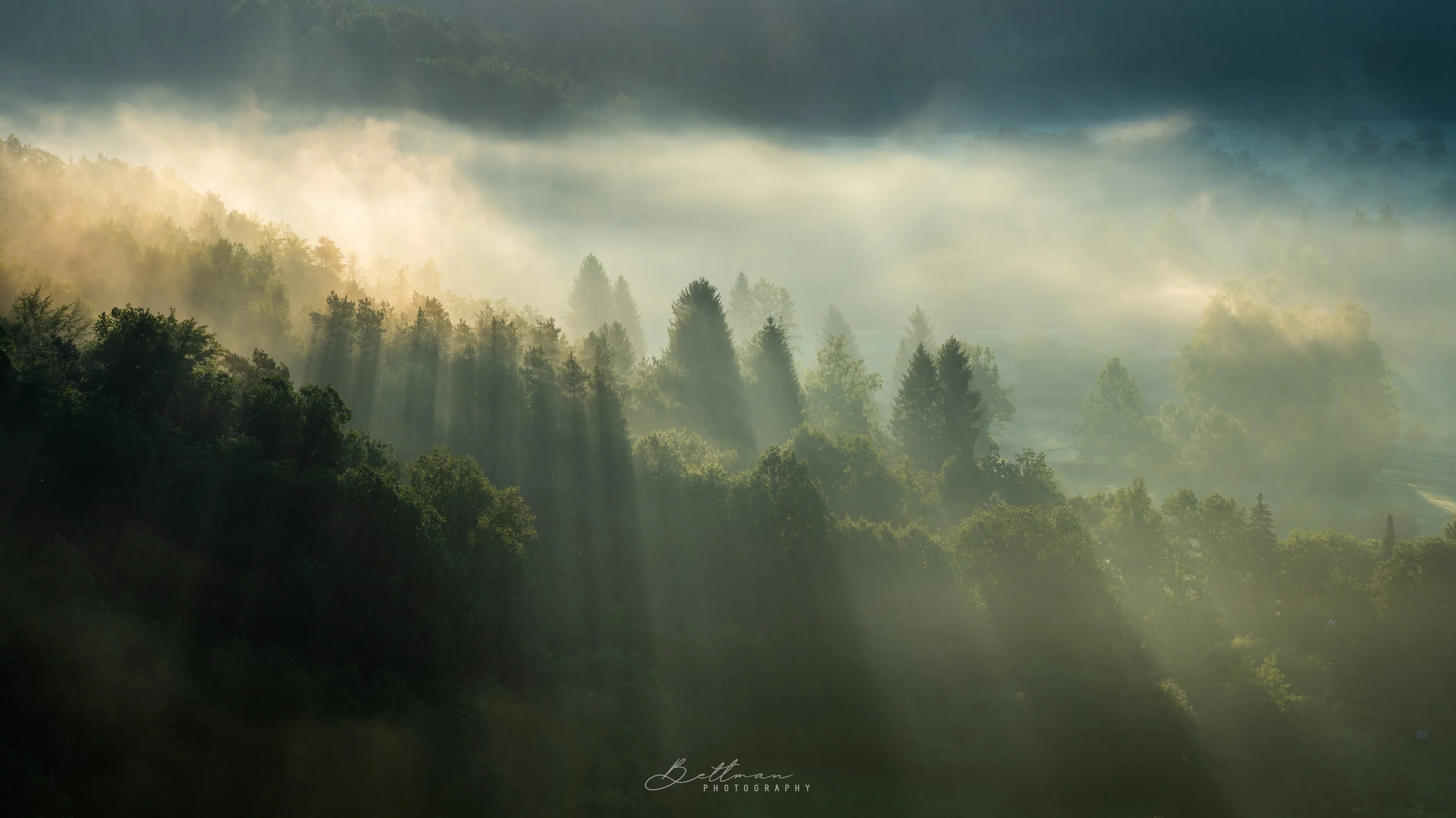 5 photographers, 1 trip. Chaos ensured