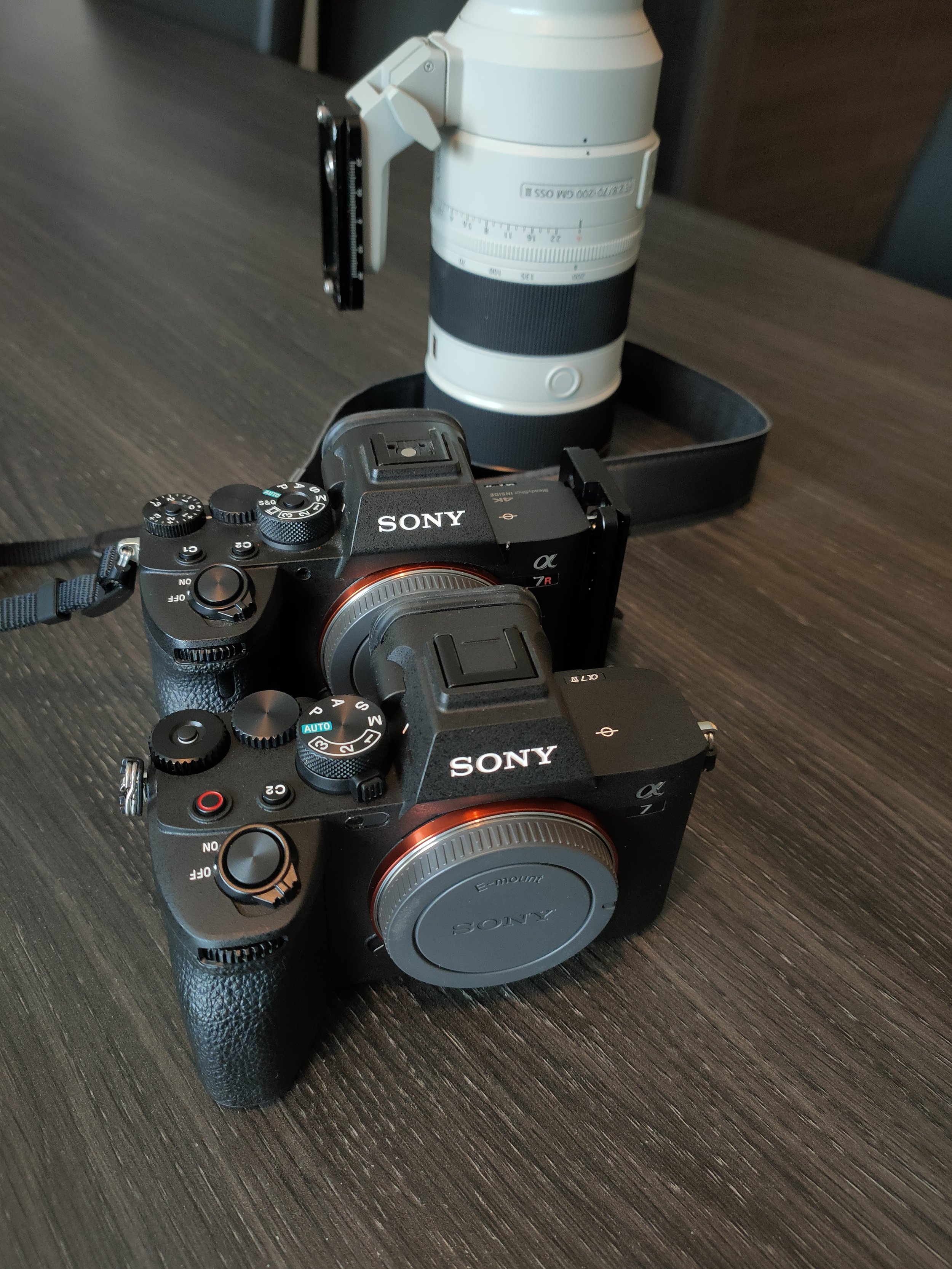 Real world review of the Sony A7iv — Bettman Photography