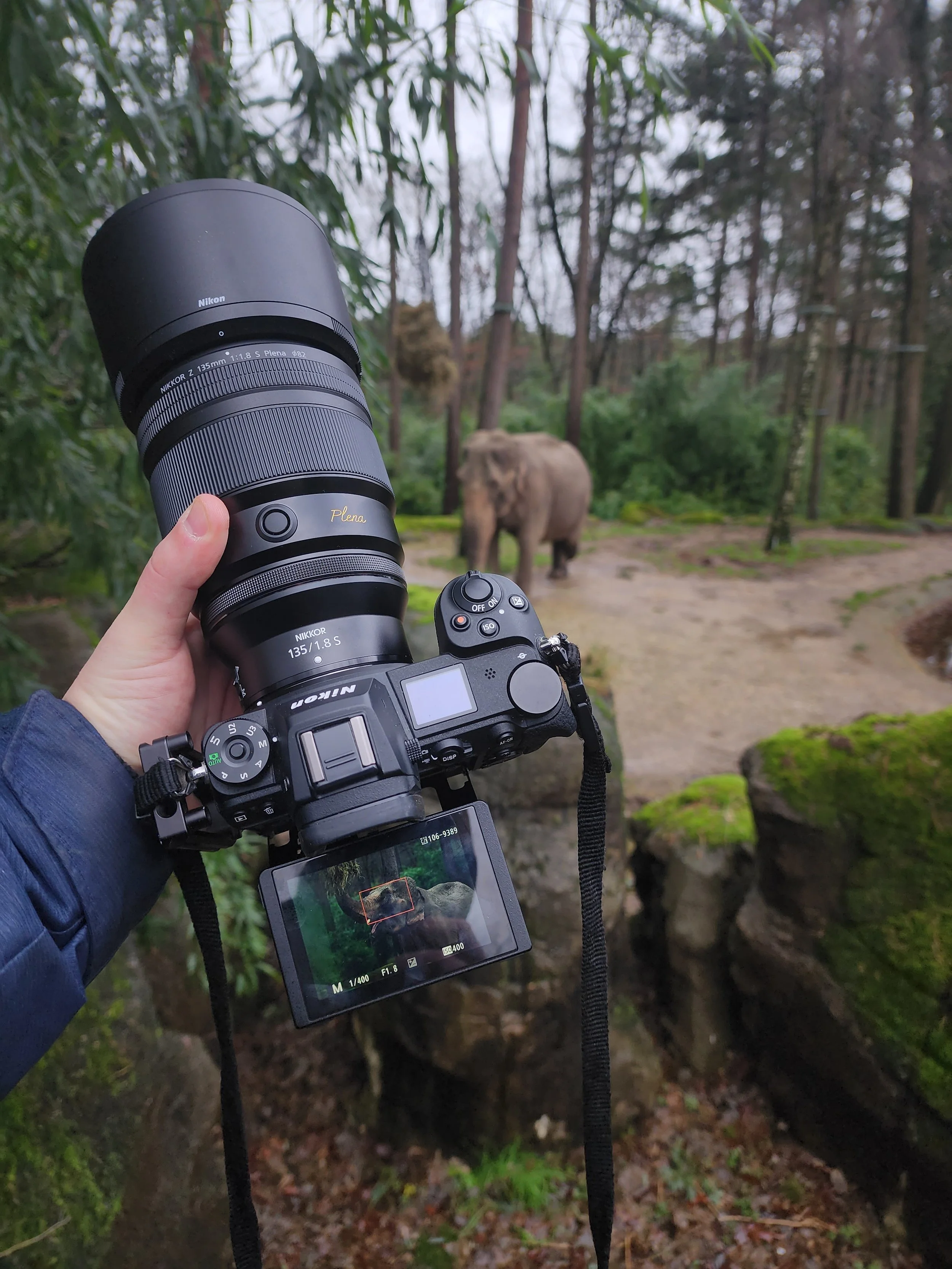 NIKKOR Z 135mm f/1.8 S Plena! A real world review. 