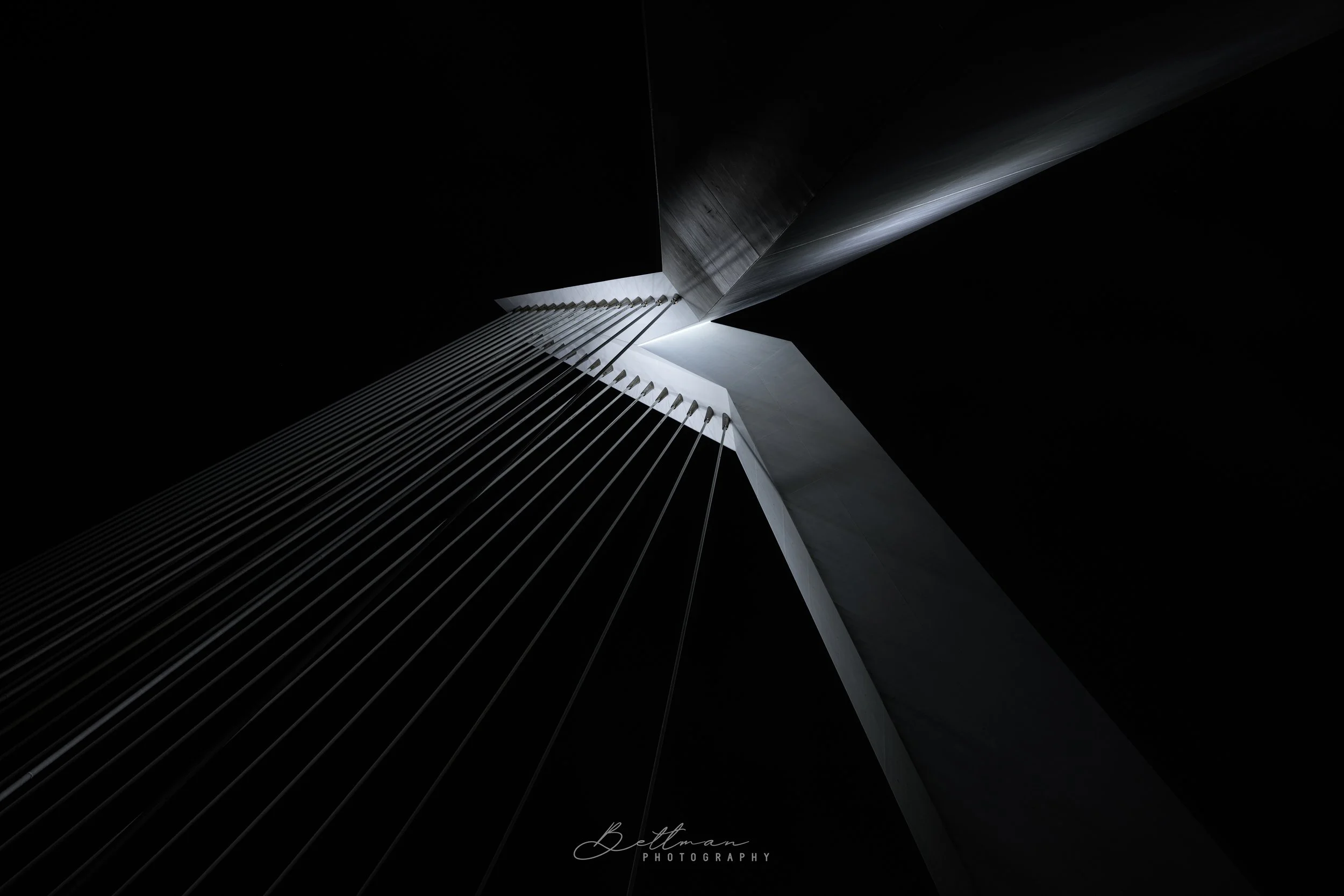 LIMITED EDITION: The bridge