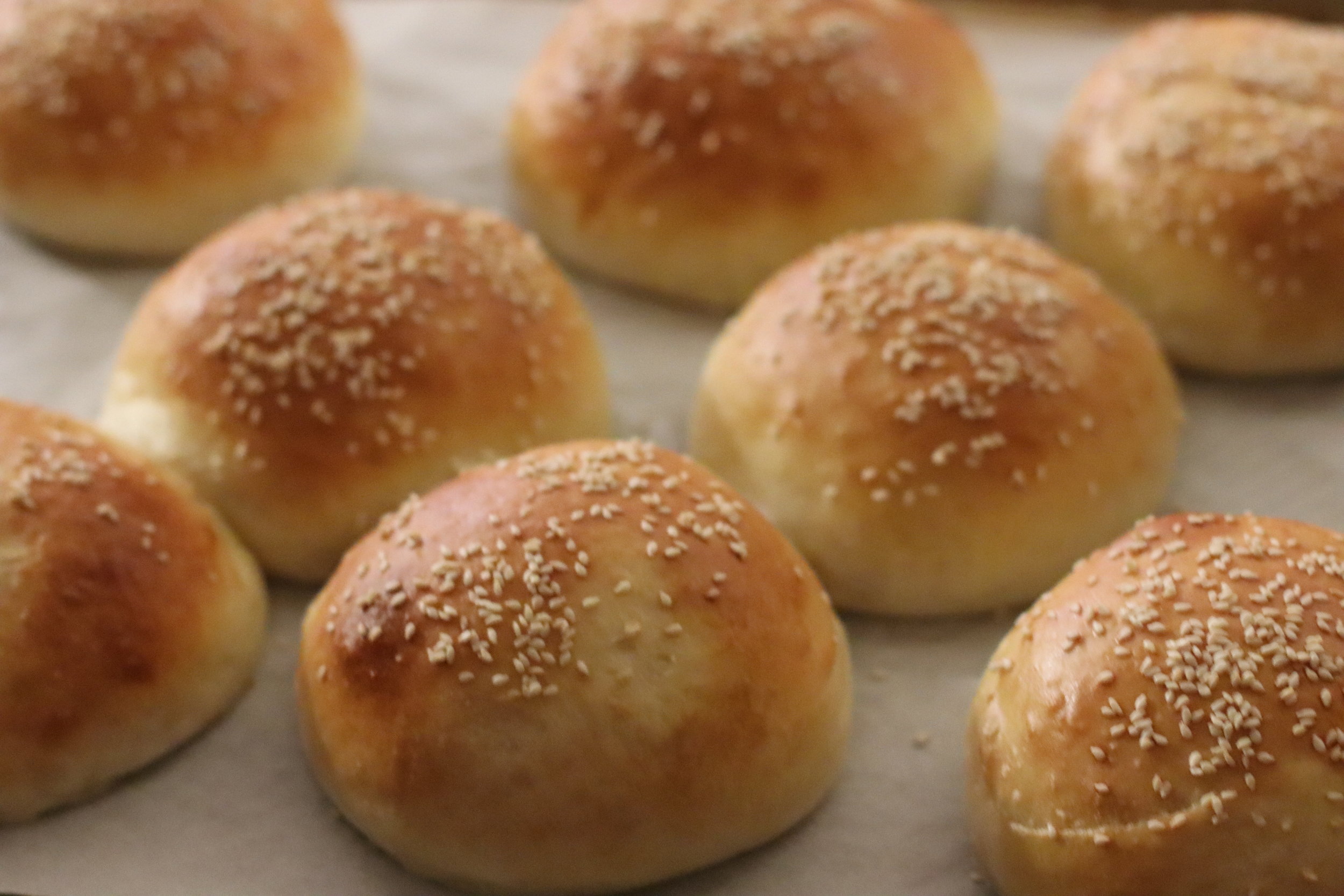 Potato Hamburger Rolls