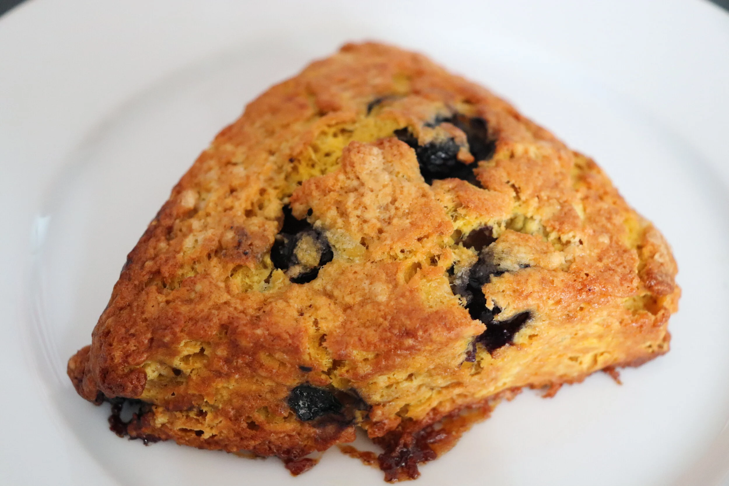 Pumpkin Blueberry Scones
