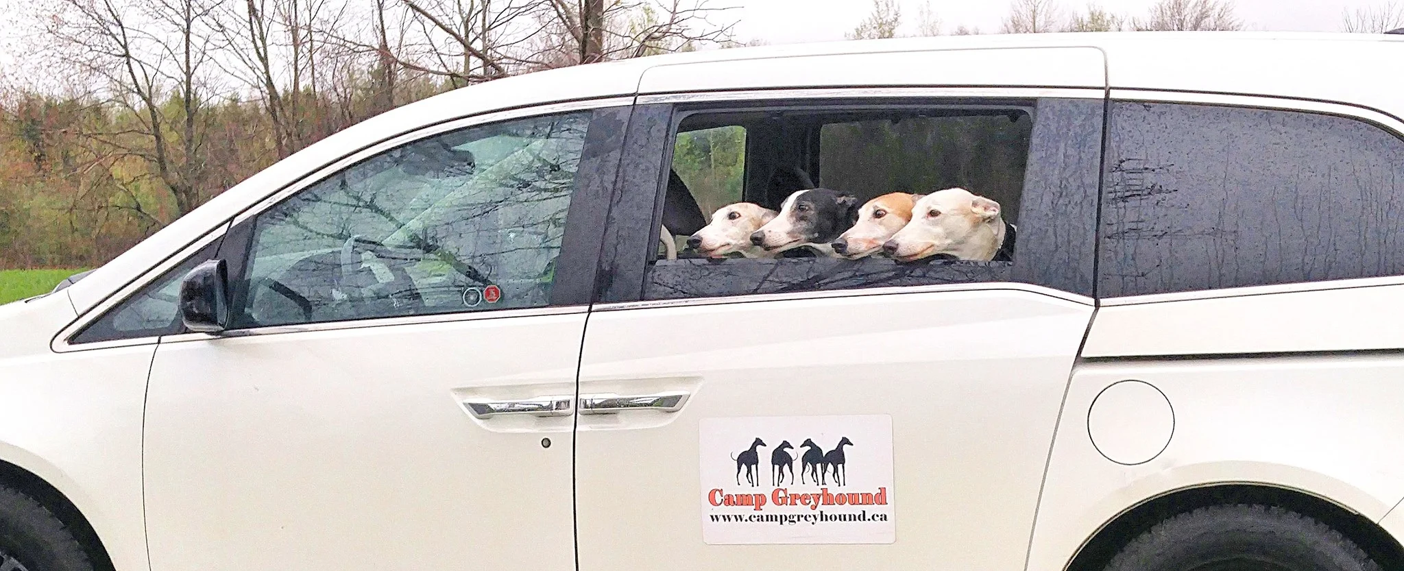 Shuttle Service.jpg